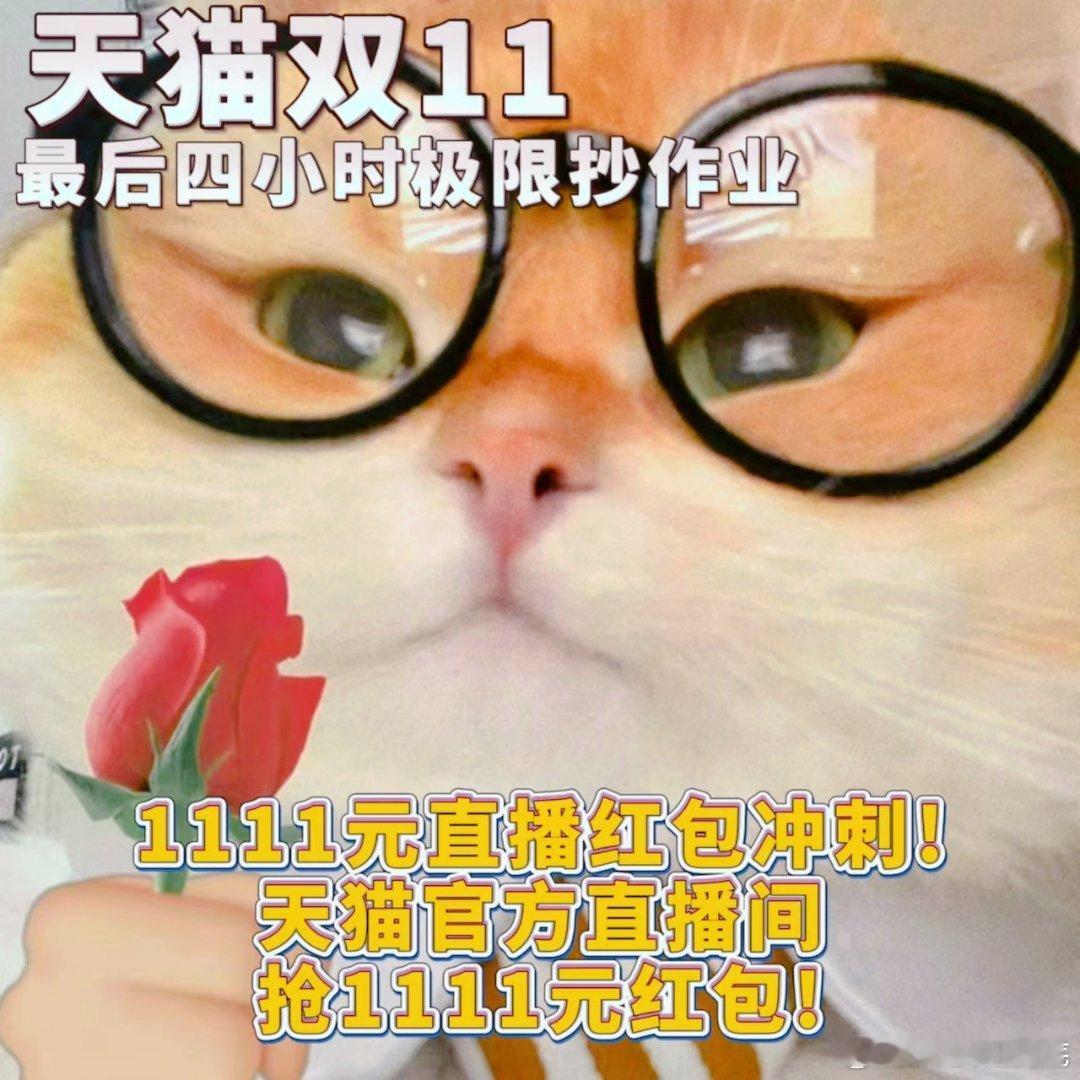 #天猫双11最后4小时极限抄作业#手速，快，准，稳，天猫双十一喜欢的东西可别留下