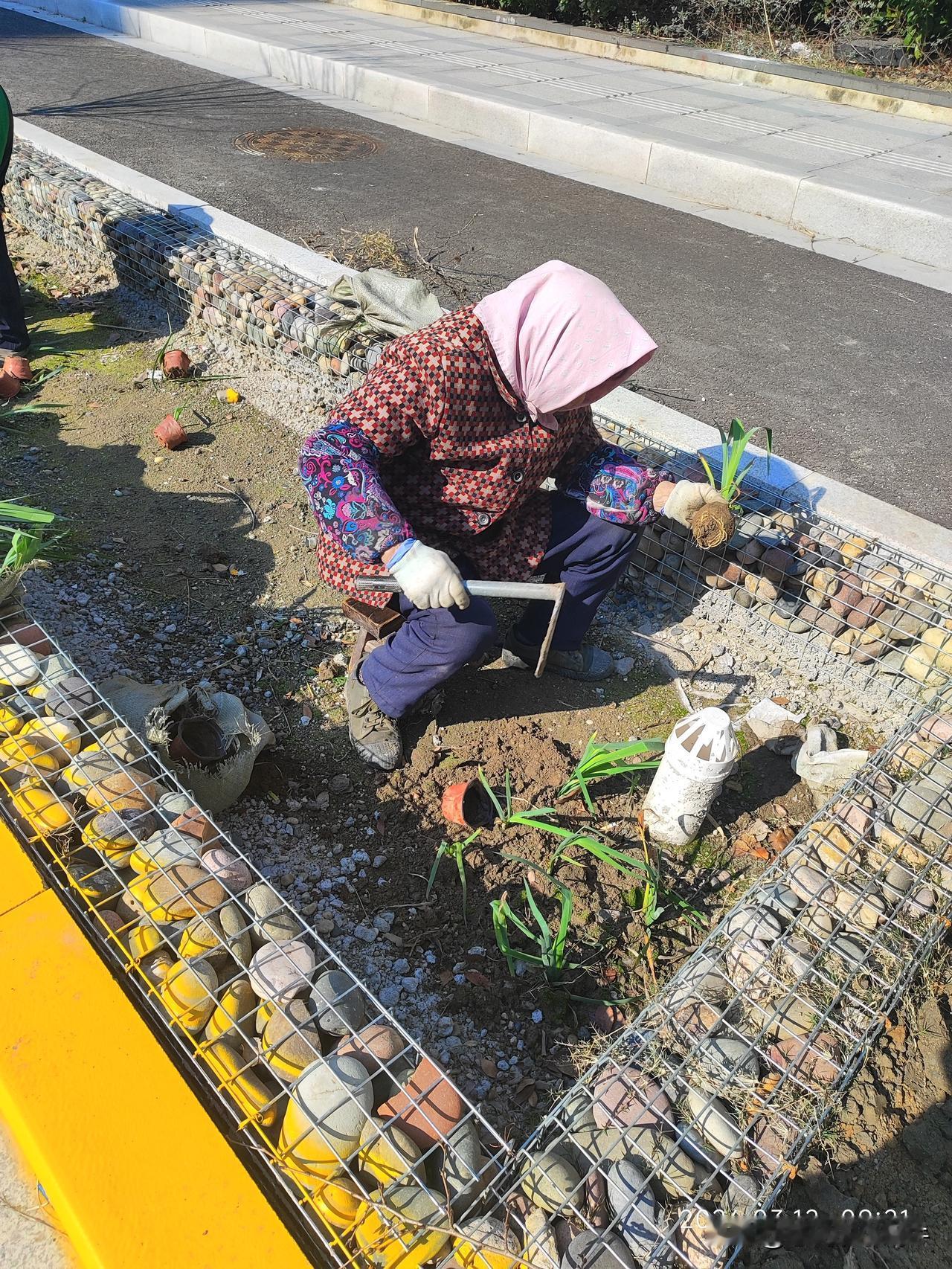 太无聊了出来走走！
看人家老奶奶都一天有事干！！我越觉得自己像个废人了[我想静静