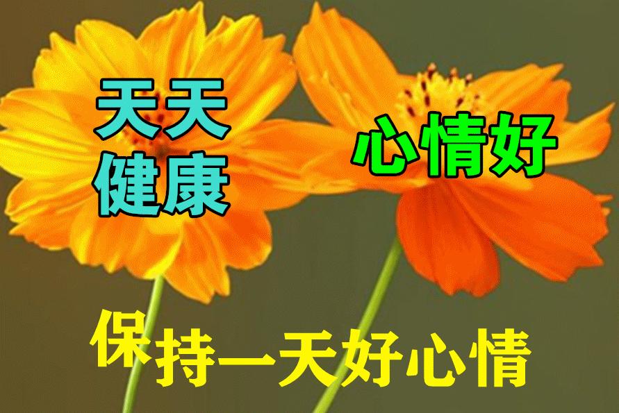 “逼死自己最快的方法，就是啥事都往最坏的地方想！怕生病，怕没钱，怕出意外，怕得罪
