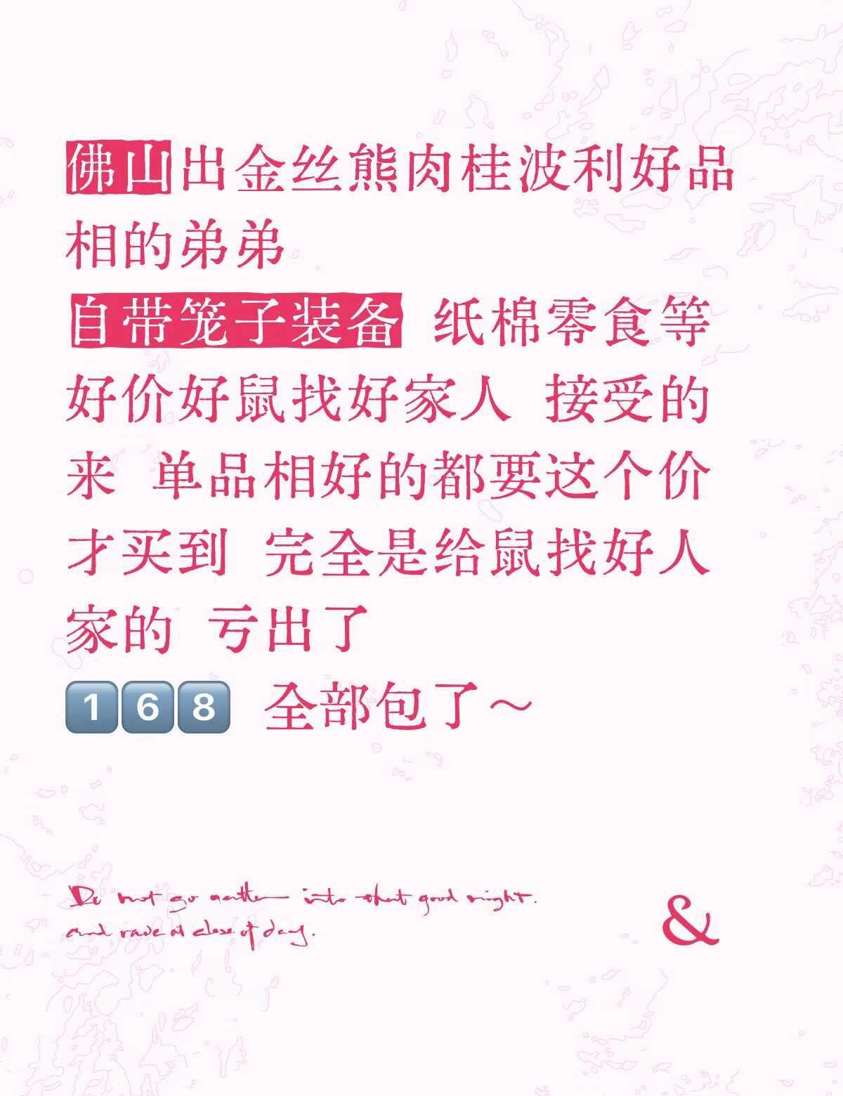 广东佛山 可顺风车可自提
金丝熊 金丝熊找家 肉桂波利 金丝熊崽崽 有预算的来 