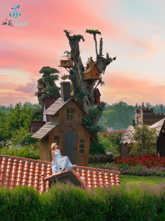 如果你有计划去盐城花海，都来看这篇❗️