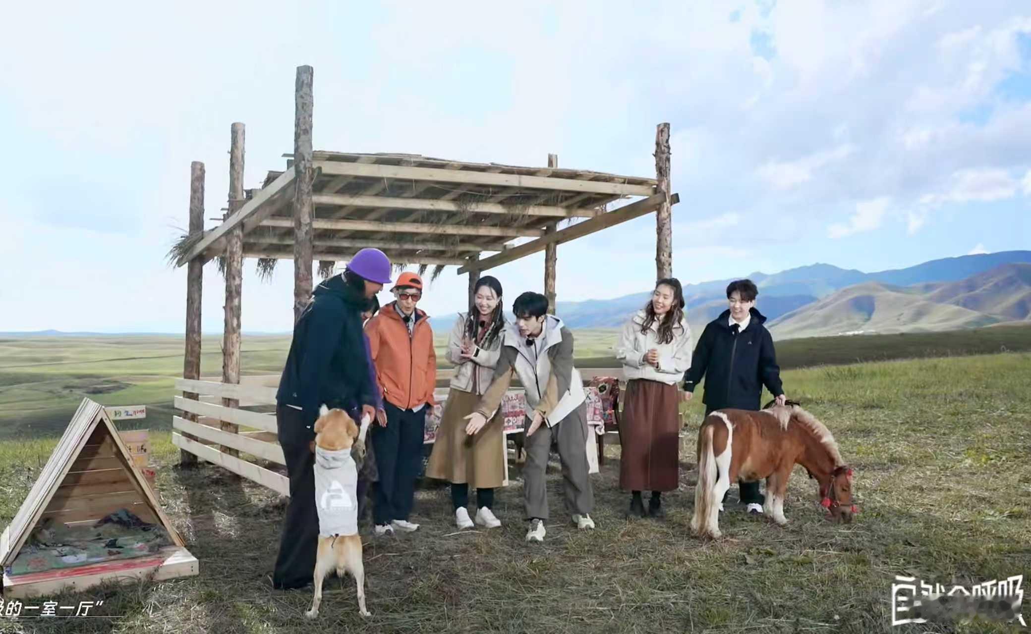 宋威龙和小狗撞衫宋威龙出场走成秀场氛围感被宋威龙拿捏住了，出场每一步都像在走秀，