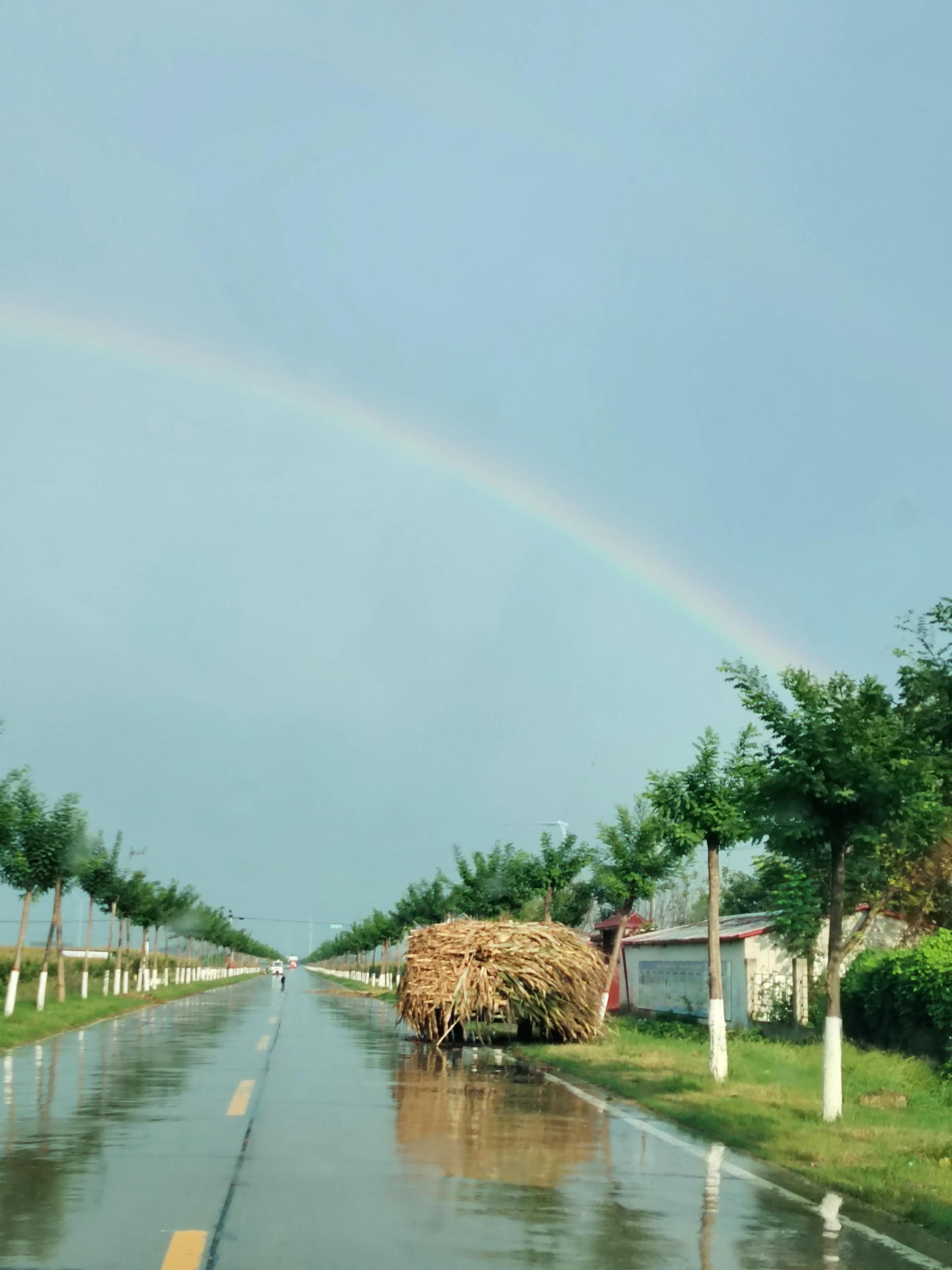 “斯人若彩虹 遇上方知有”很多事情就像彩虹一样，可遇而不可求！