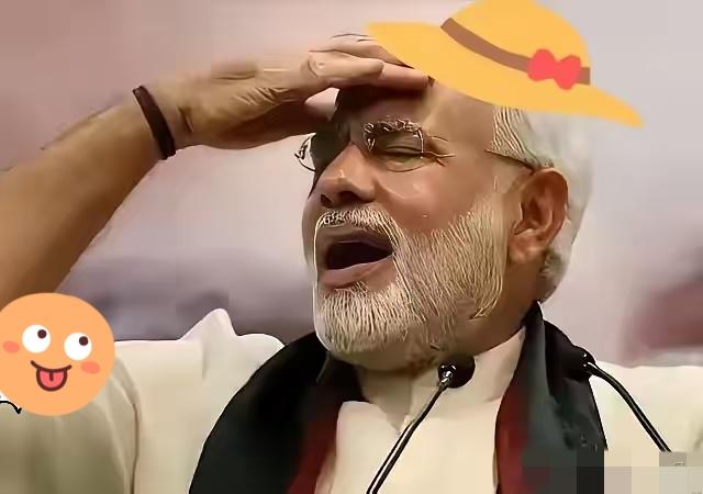 印度这次彻底傻眼了！
平时跟着欧美后面跑，动不动就给中国使绊子。结果呢？霍尔木兹