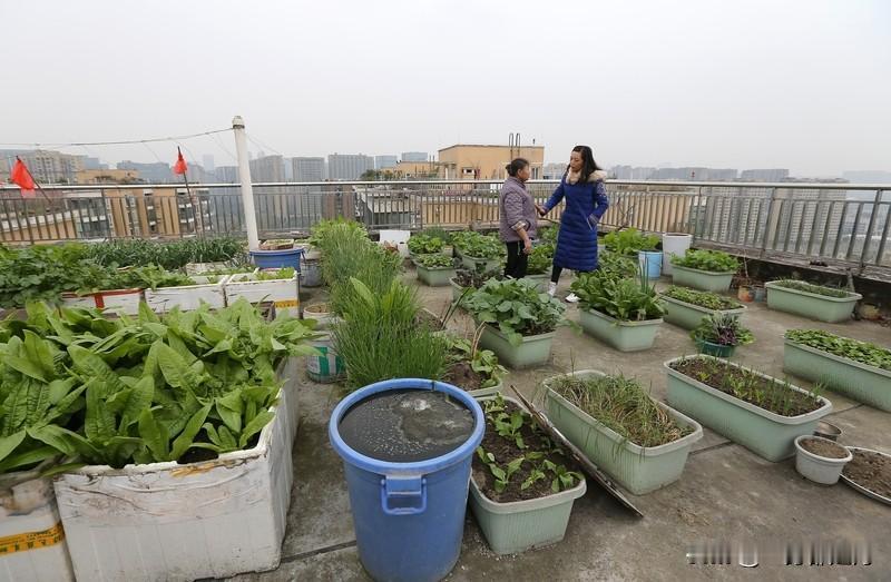 贪欲才是心中魔鬼
2019年，征收老宅的280余万元
引发了郑阿姨一家的纠纷
起