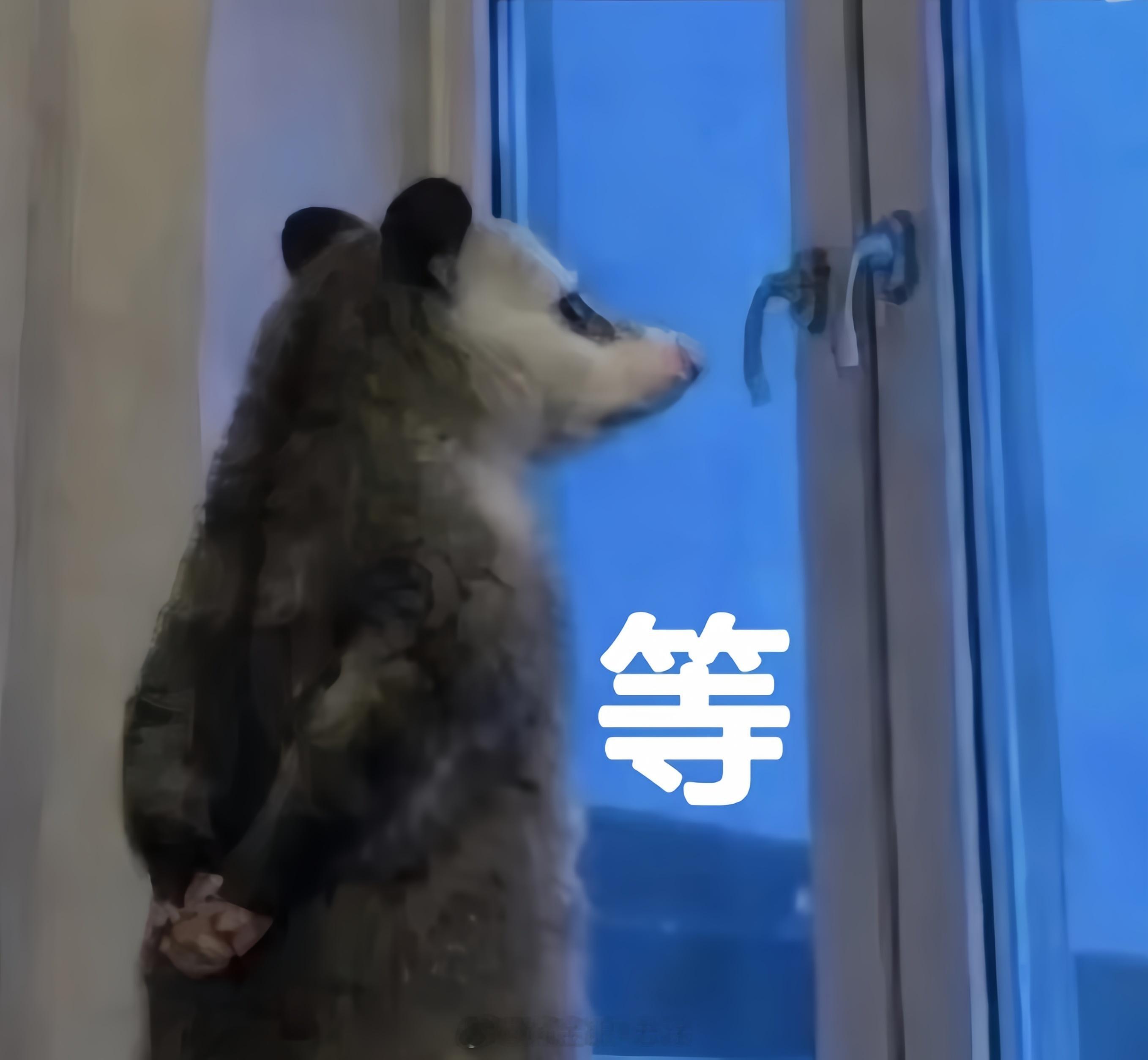 欧盘走震荡，预期中的事关键就看能否走出这个震荡区间了，要是想进场操作一手的朋友关