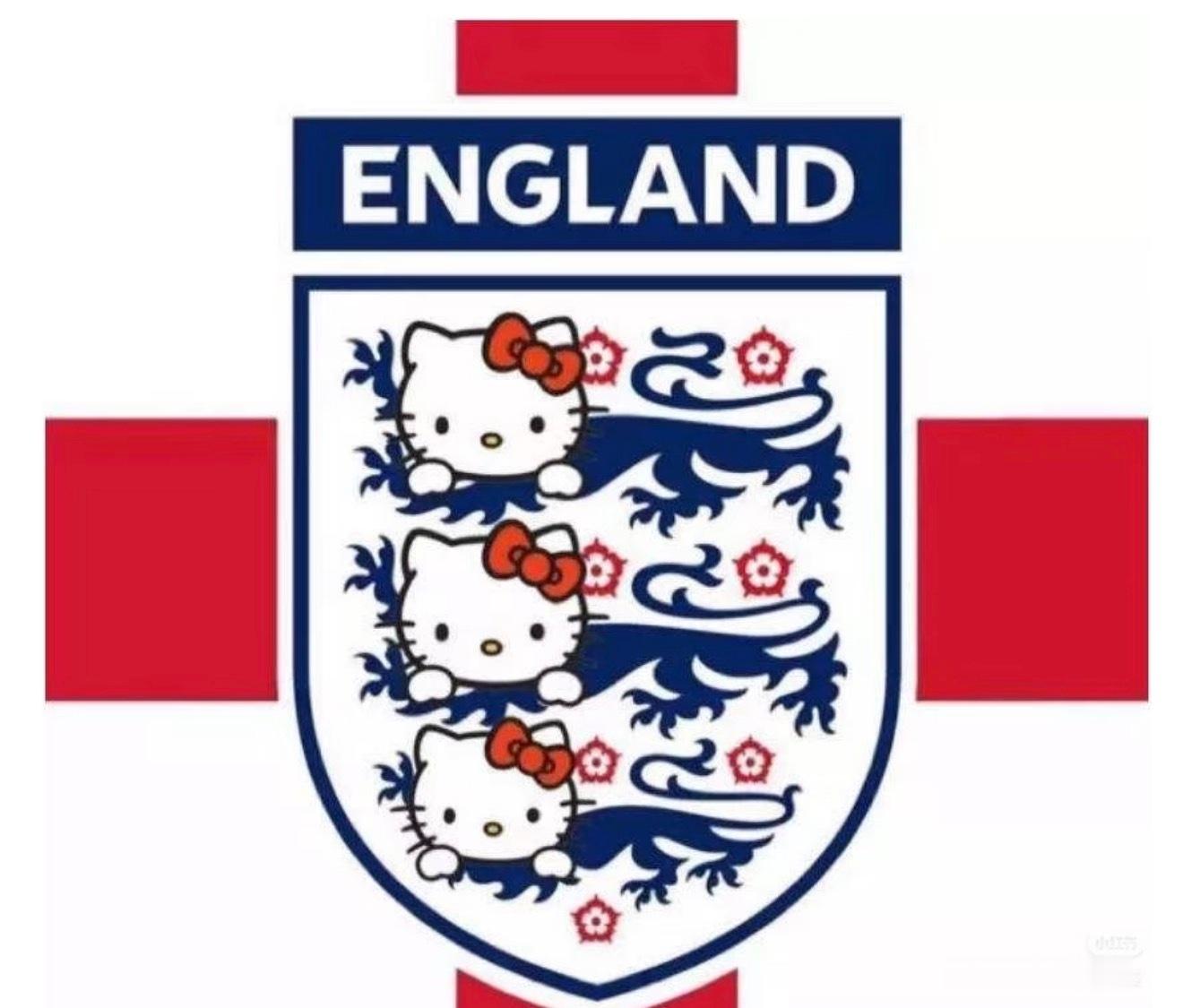 英格兰vs民主刚果 加油啊英子别给自己踢回家了，已点十个外卖 莫辜负，喵喵喵加油
