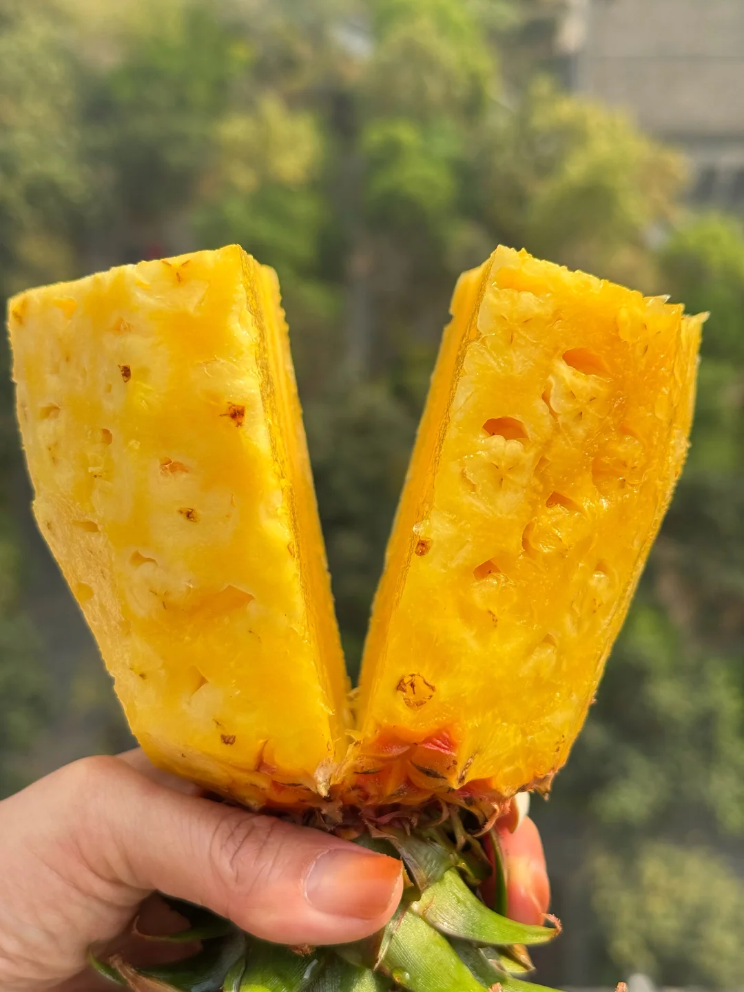 用买菠萝的钱给你发金钻凤梨，不甜我包赔！