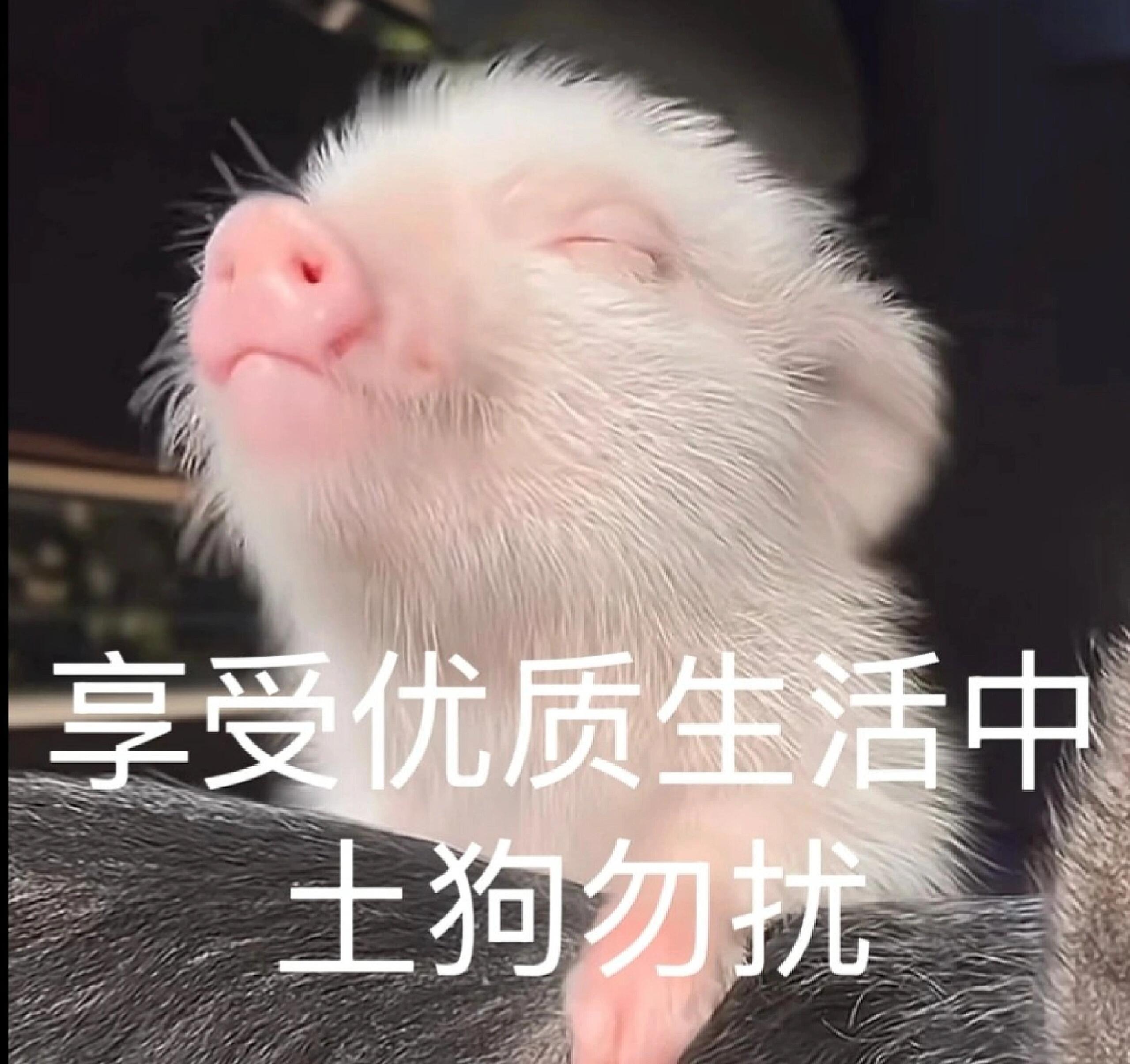 虞书欣[超话]  ‼️原定于今天（28号）发布的内容平移到明天（29号）发布📢