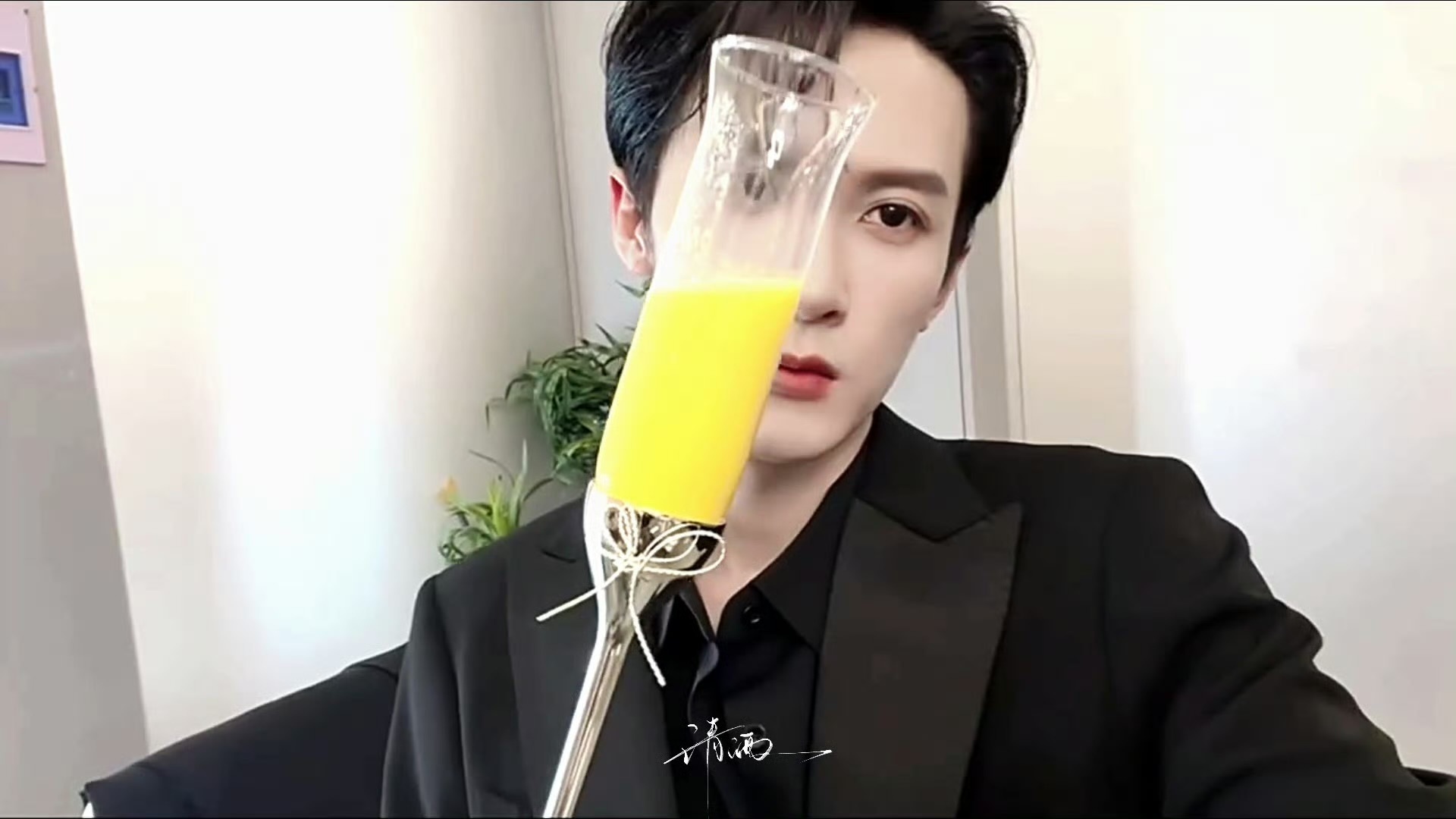 摇晃的黄酒杯 💛🦔