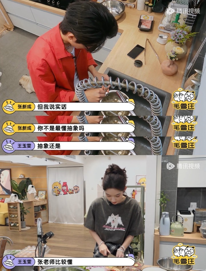 #王玉雯爆料张新成高中没人追# 果然八卦还是要听熟人爆才有意思[doge]毛雪汪