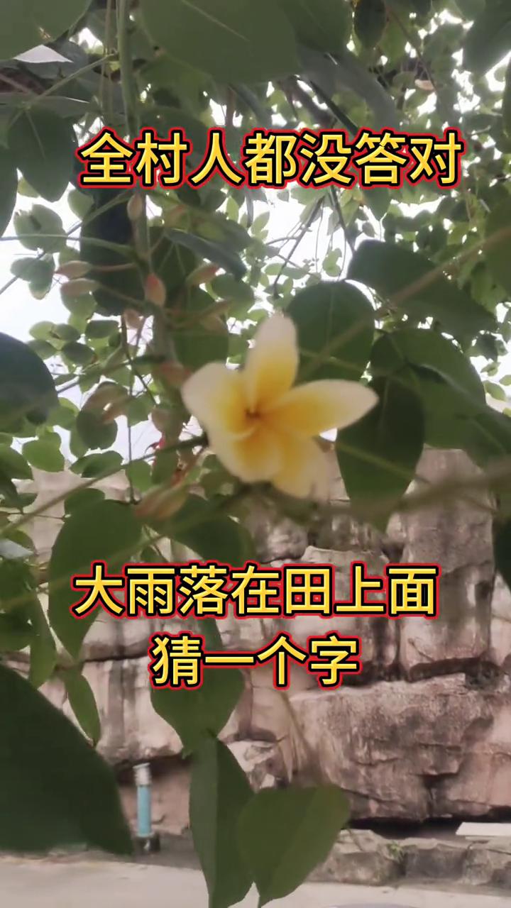 全村人都没答对，请问大雨落在田上面猜一个字是不是禾苗的苗？禾苗的苗不对，村人都没