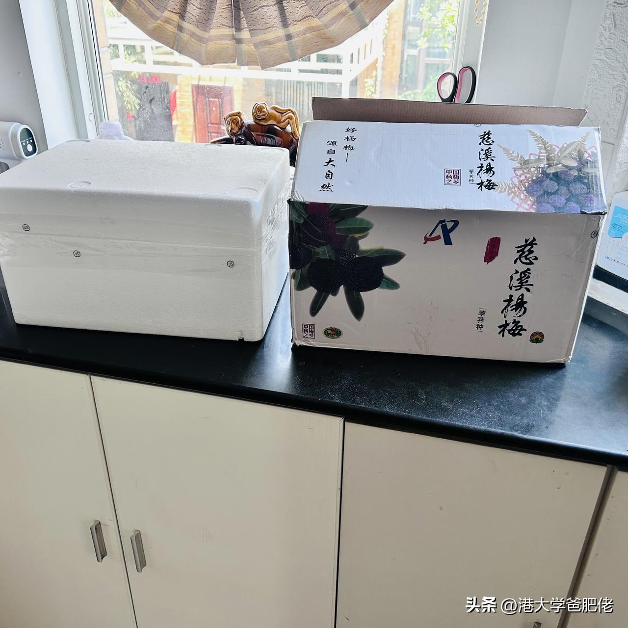 感谢我们第一个送入香港大学读本科的浙江家长于女士每年都寄来宁波的特产杨梅，孩子入