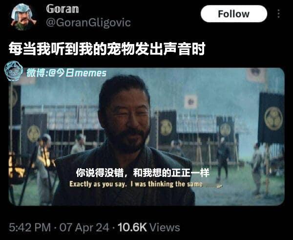 哎对对对（GoranGligovic） 今日meme[超话]   