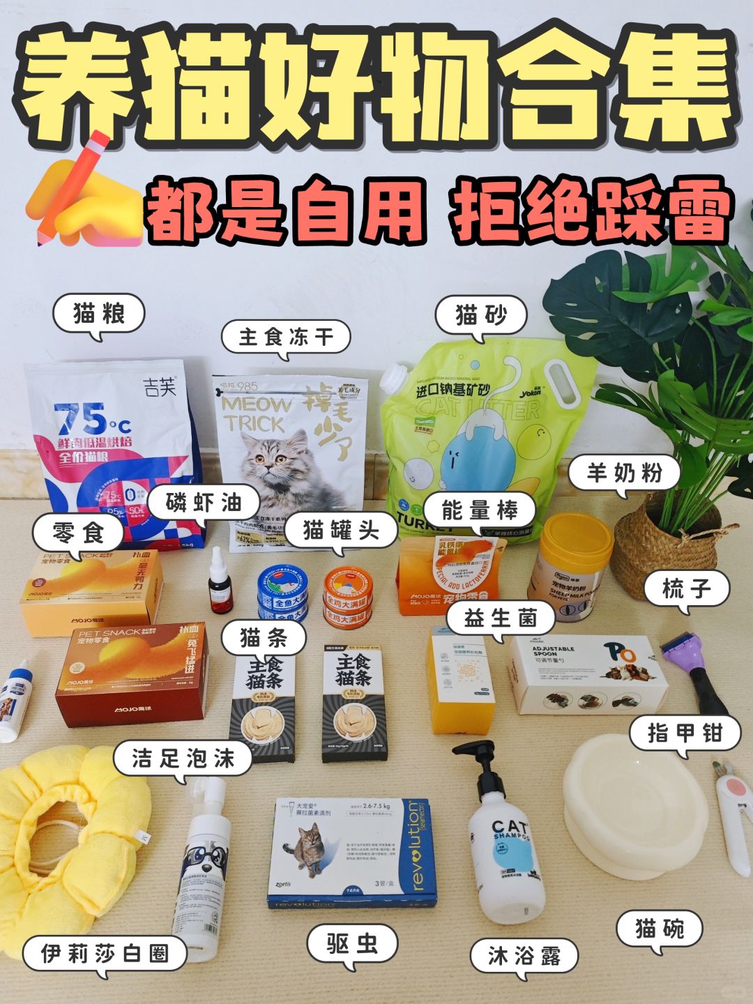 猫咪好物合集✏️都是自用，拒绝踩雷💣