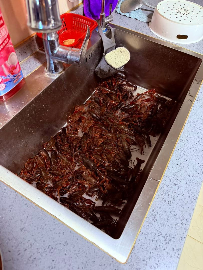 生活手记记录真实生活摄影摄影摄影 夏日至味，鲜活小龙虾盛夏的烟火气，往往都藏在一