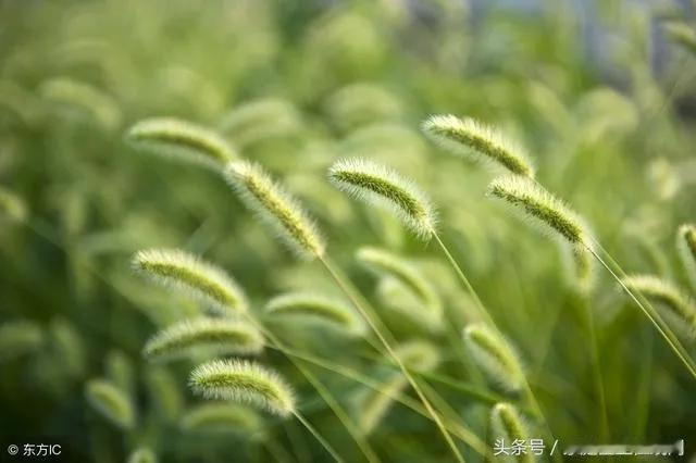 这个提法不一定，所谓的好工作，无非就是挣钱多一点，上班舒适些，福利高吧！
而不上