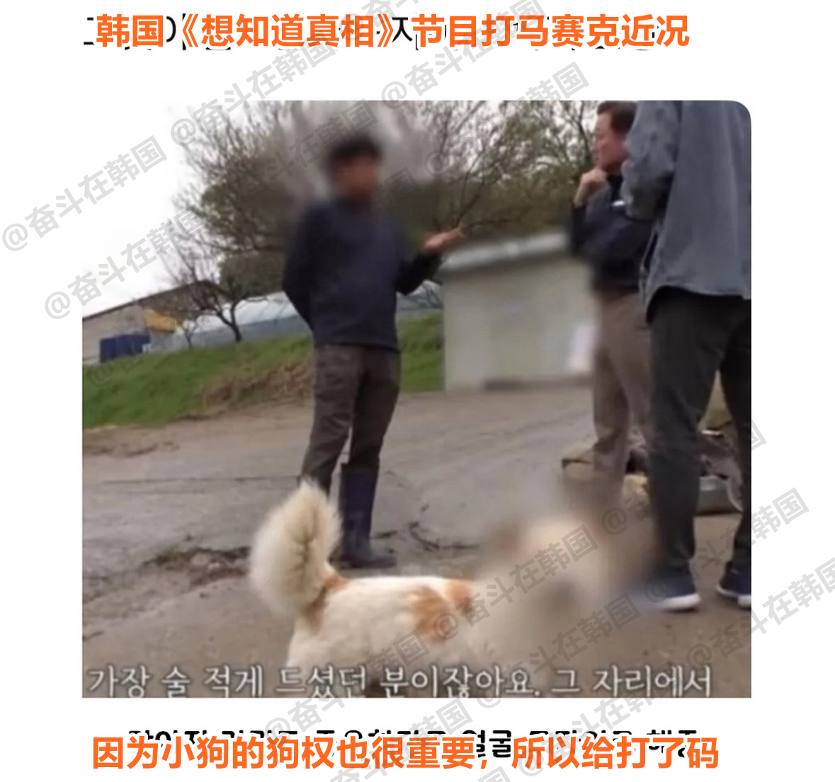 韩国《想知道真相》节目打马赛克近况 海外新鲜事 热点现场 ​​​