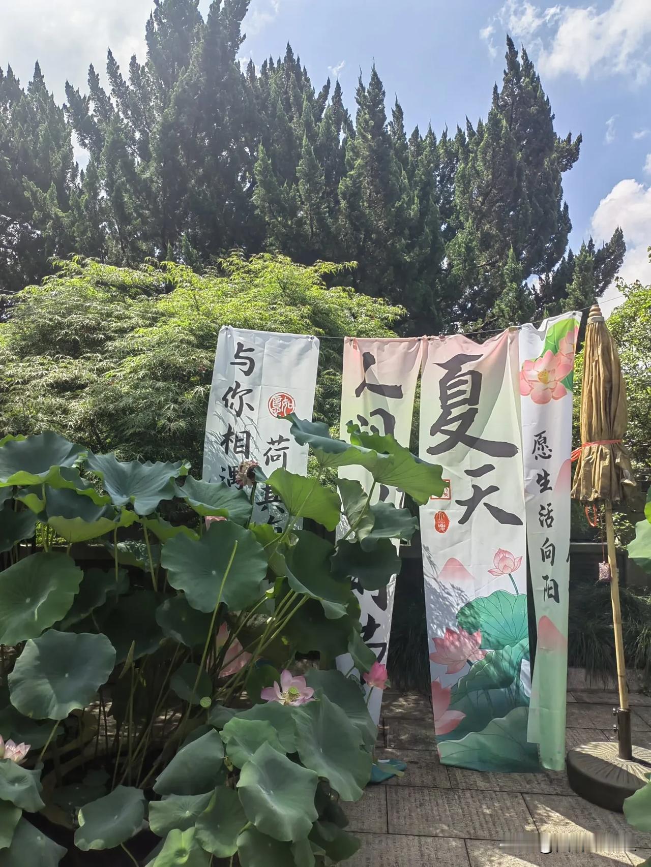 有些人，在身边，感觉离的很远。有些人，在远方，却感觉就在眼前。有些人，天天见面，