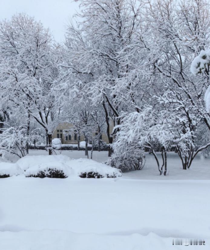 这次寒潮，重点已经不是降温了。中央气象台的首席预报员张涛说，真正要命的，是马上要