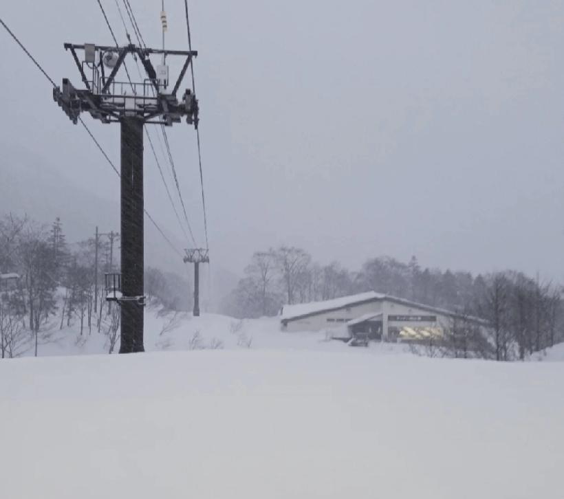 日本长野县小谷村栂池高原度假村滑雪场，日前发生罕见致命缆车事故。一名22岁澳洲籍