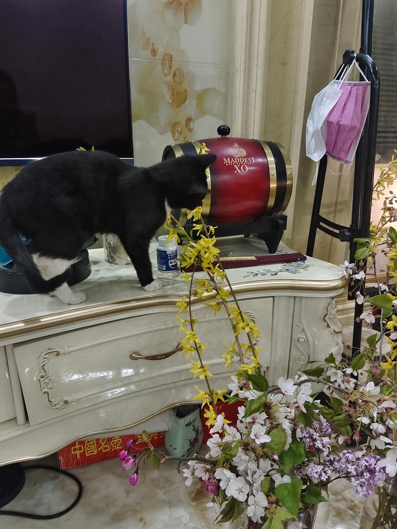 用镜头捕捉美丽瞬间