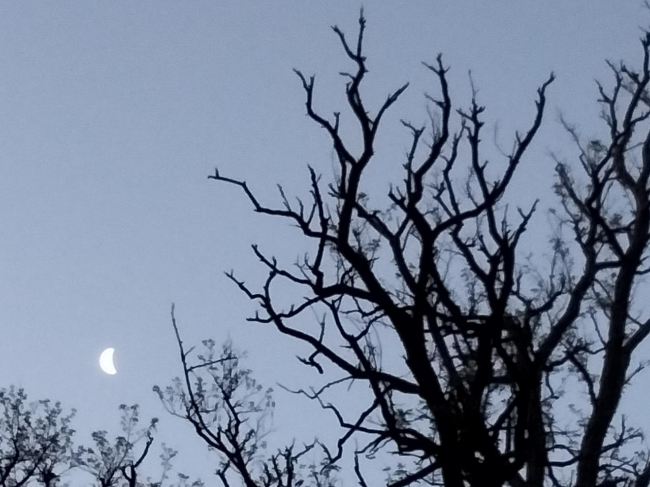 日月同辉
终于看到“月日月同辉”就是日月交接班时。[大笑]