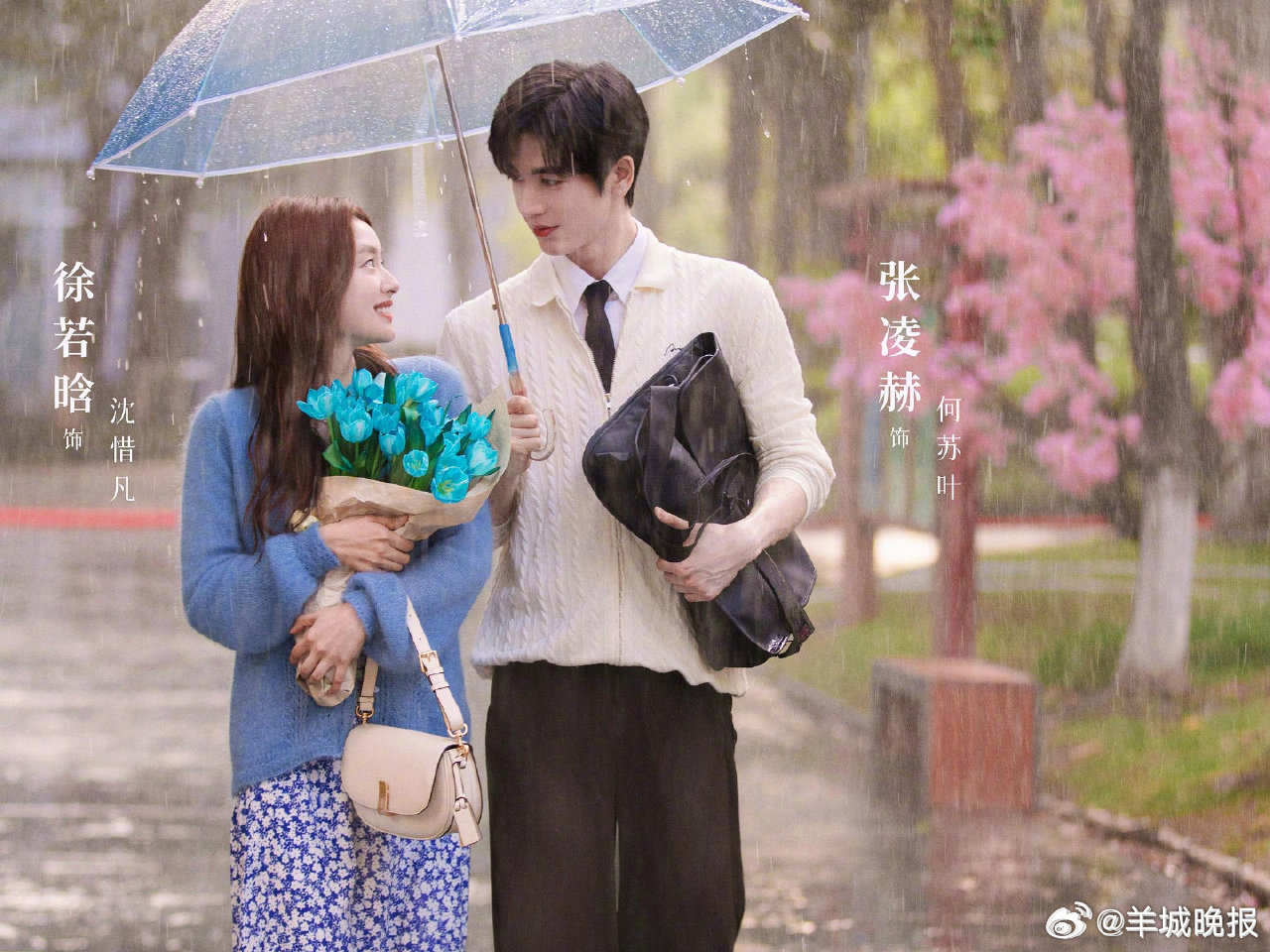 【哪对CP让你直呼“磕到了”】2025年荧幕CP长卷徐徐展开，哪一对CP让你嗑到