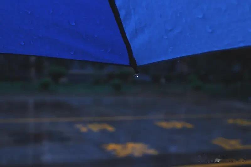 窗外
密集的雨
毫无减势征兆地下着
哗哗的响
好像与谁较劲似的
使出浑身解数
从