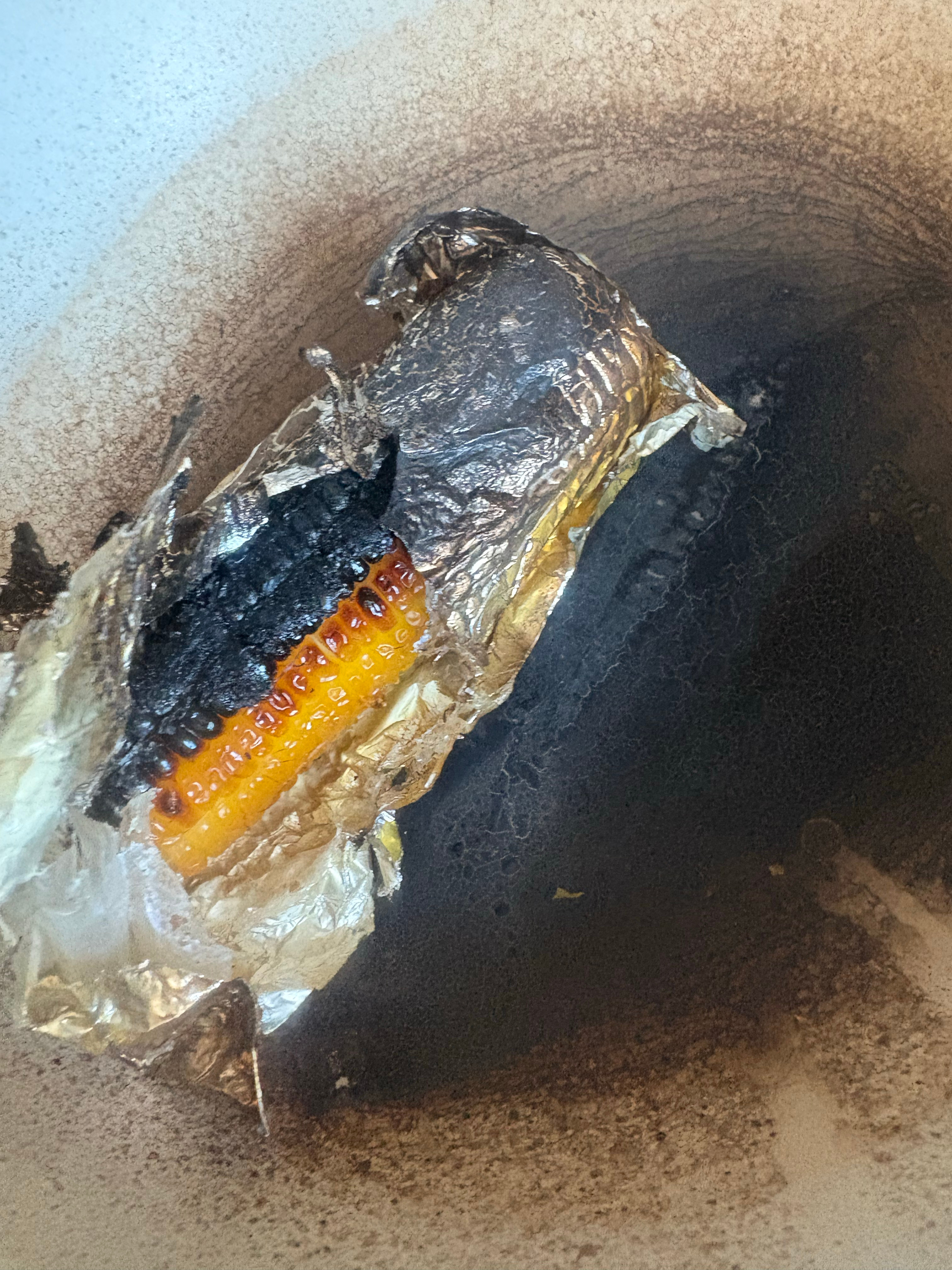就说红果子害人不浅啊准备热一根玉米吃，最多五分钟结果一下忘记时间了变成黑焦爆米花