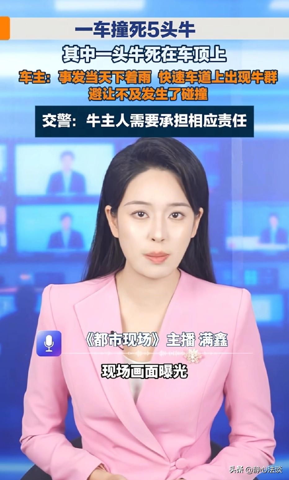广东阳江，司机雨天开车在路上，前面突然闯入一群牛，司机避让不及，直接撞了上去，造