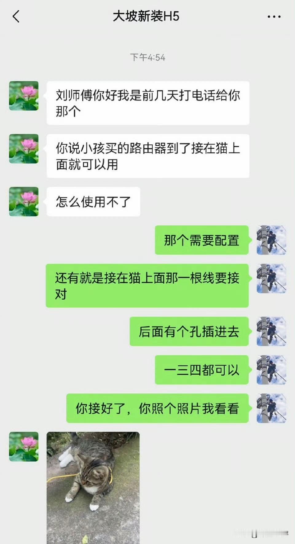 真是难为小猫了，这是失灵了！