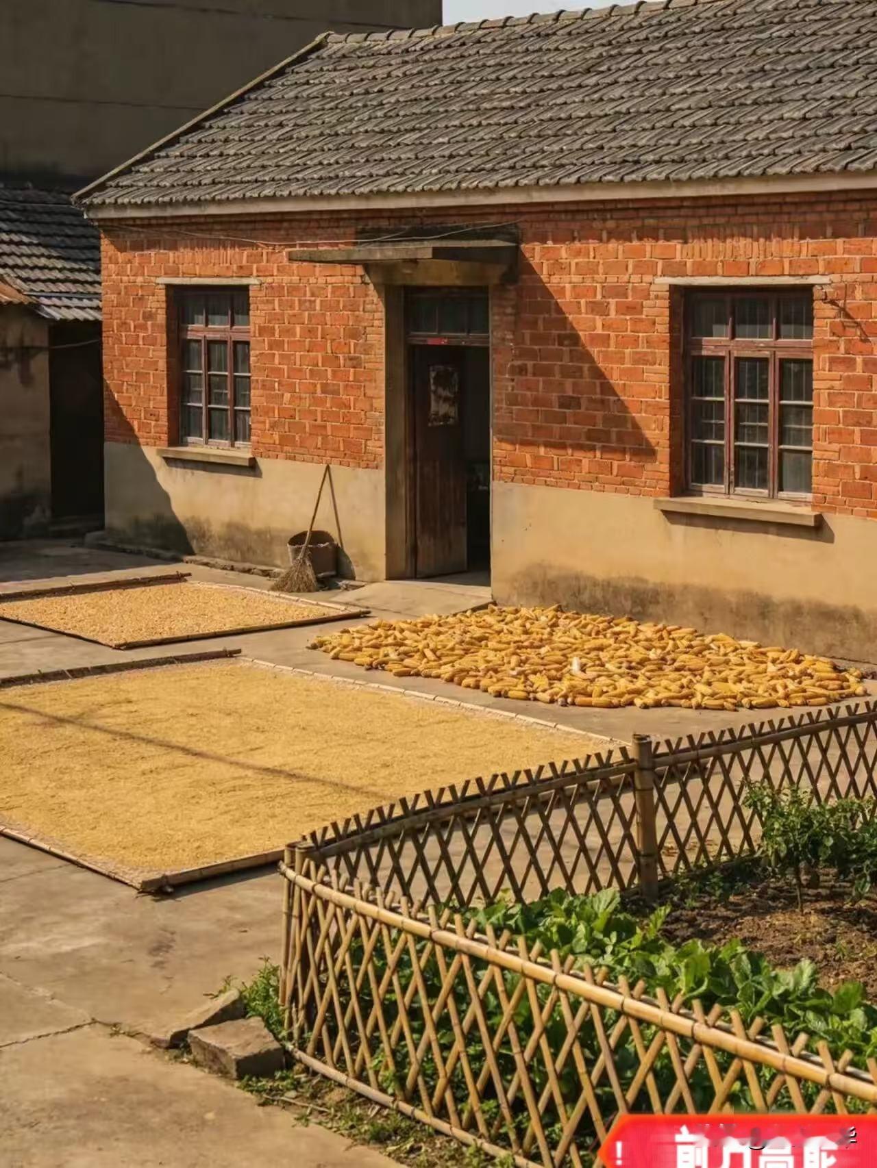 一号文件一下来，城镇户口的人估计后悔了！
2026年中央一号文件正式发布，其中关