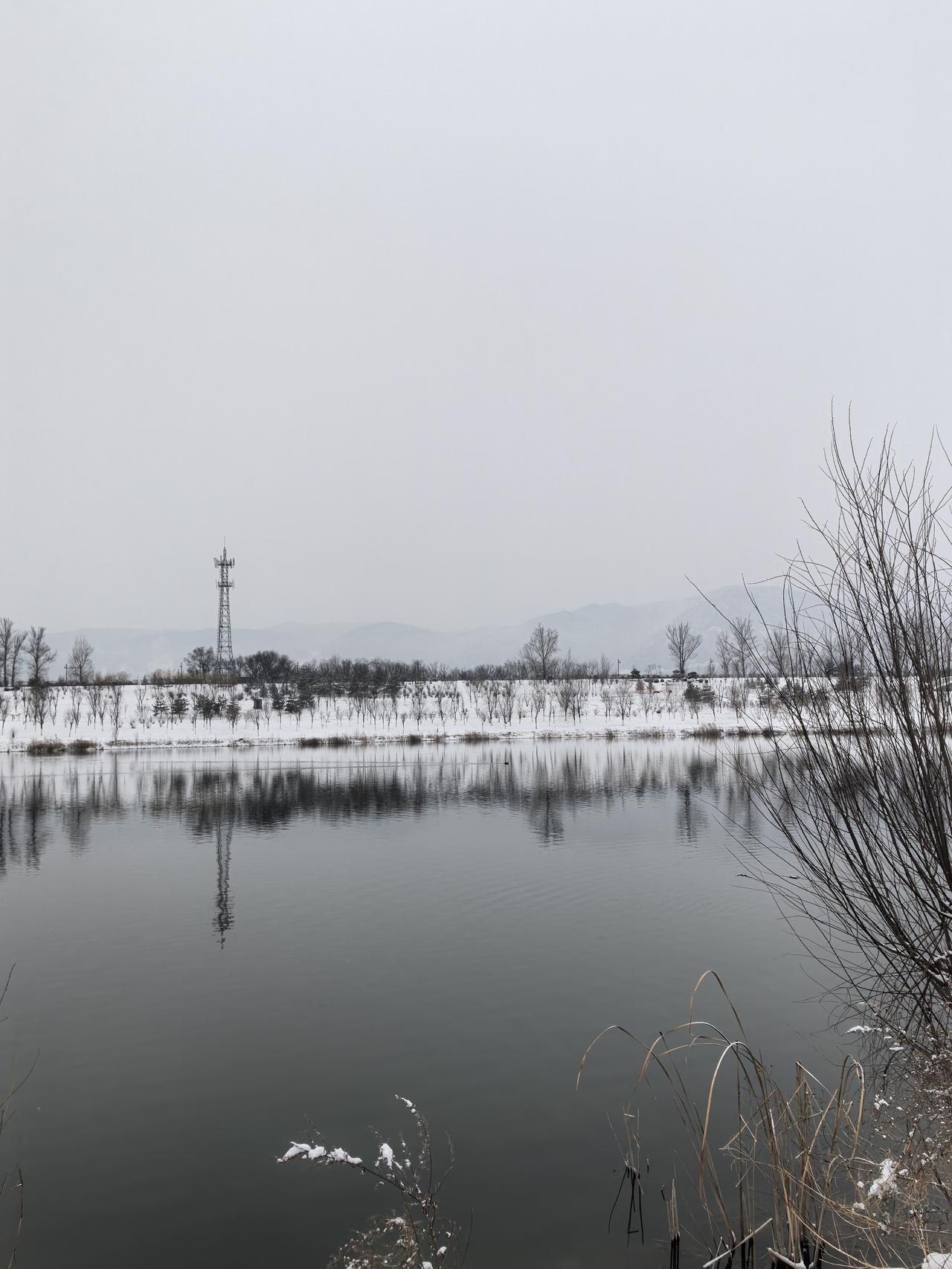 分享一张最近随手拍的照片