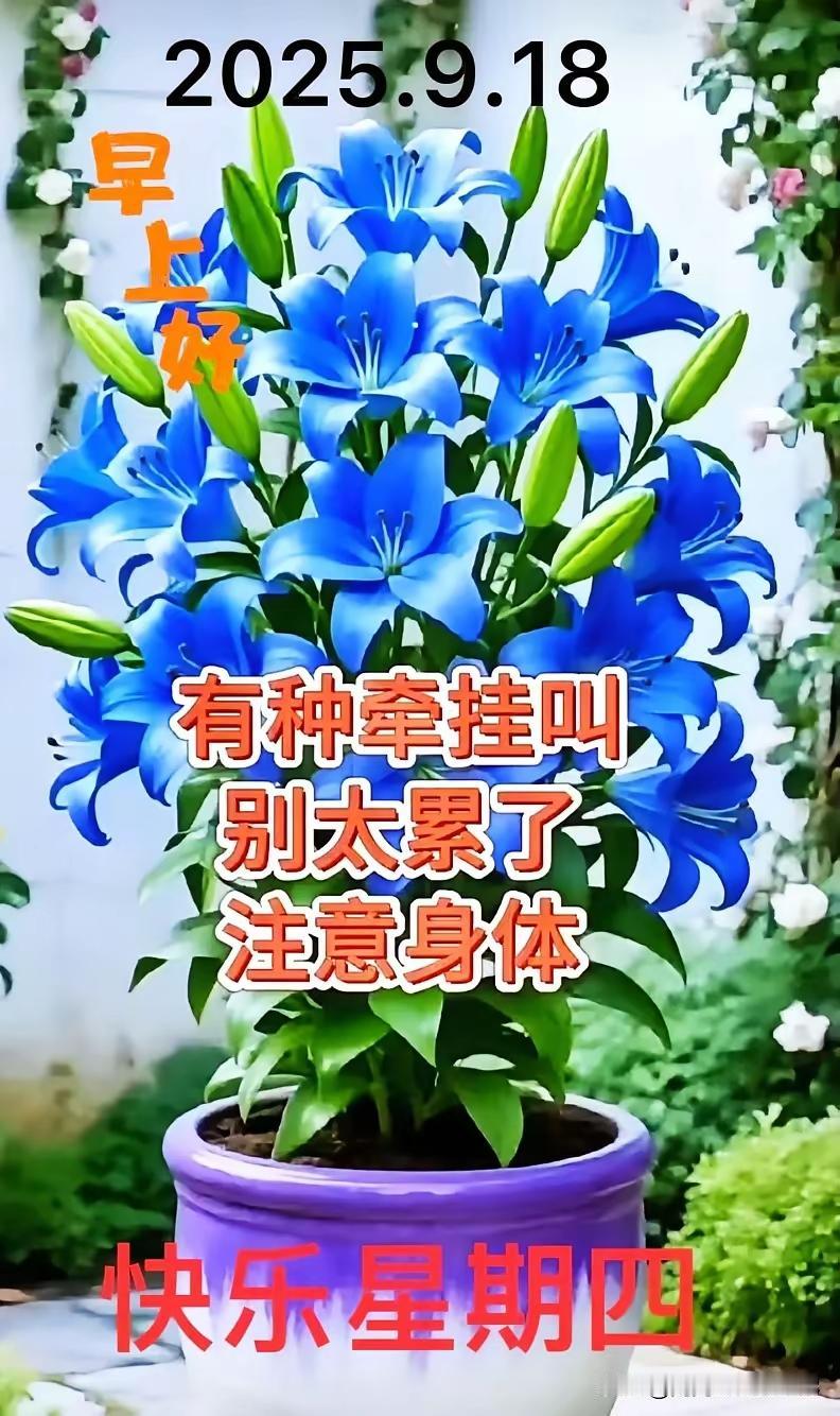 今天是2025年9月18日，农历七月二十七，是九一八事件的纪念日，也是中国国耻日
