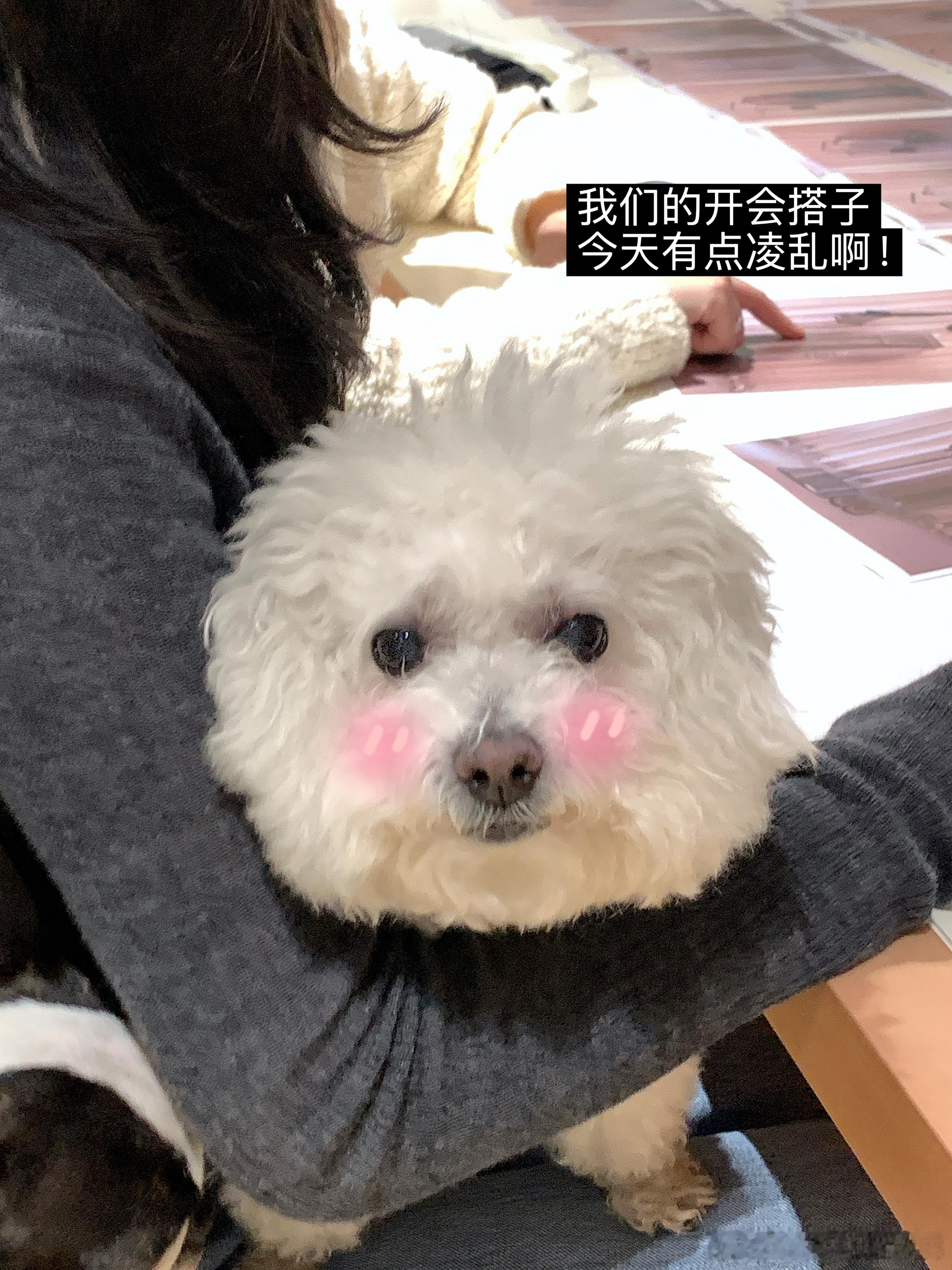 记录一下工作日常开完会回去过周末啦～ 