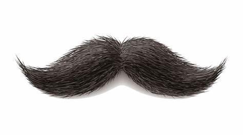 表示“胡子”的beard和moustache有啥区别？
beard和mousta