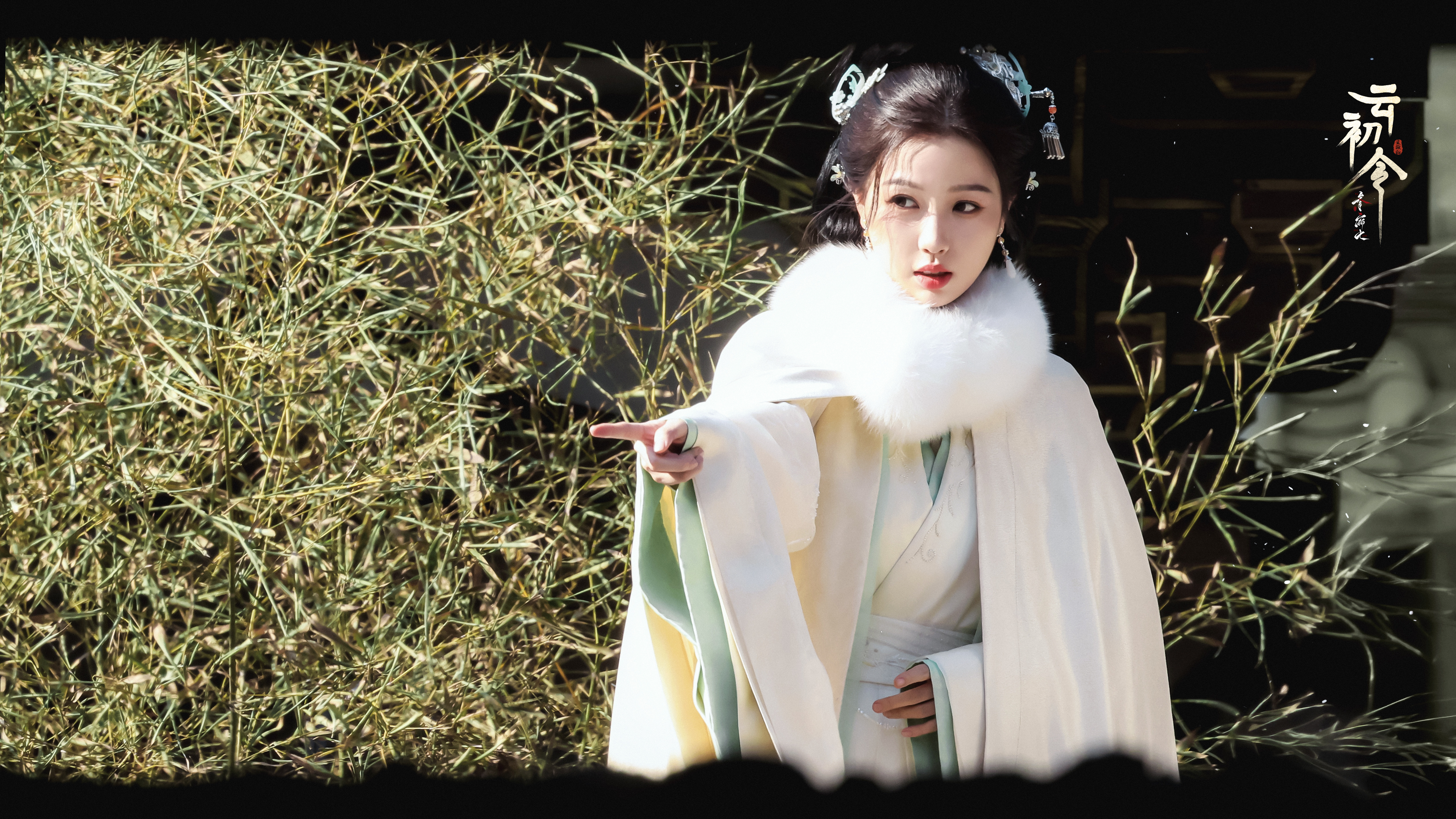 ｜      雪落青衫时❄      