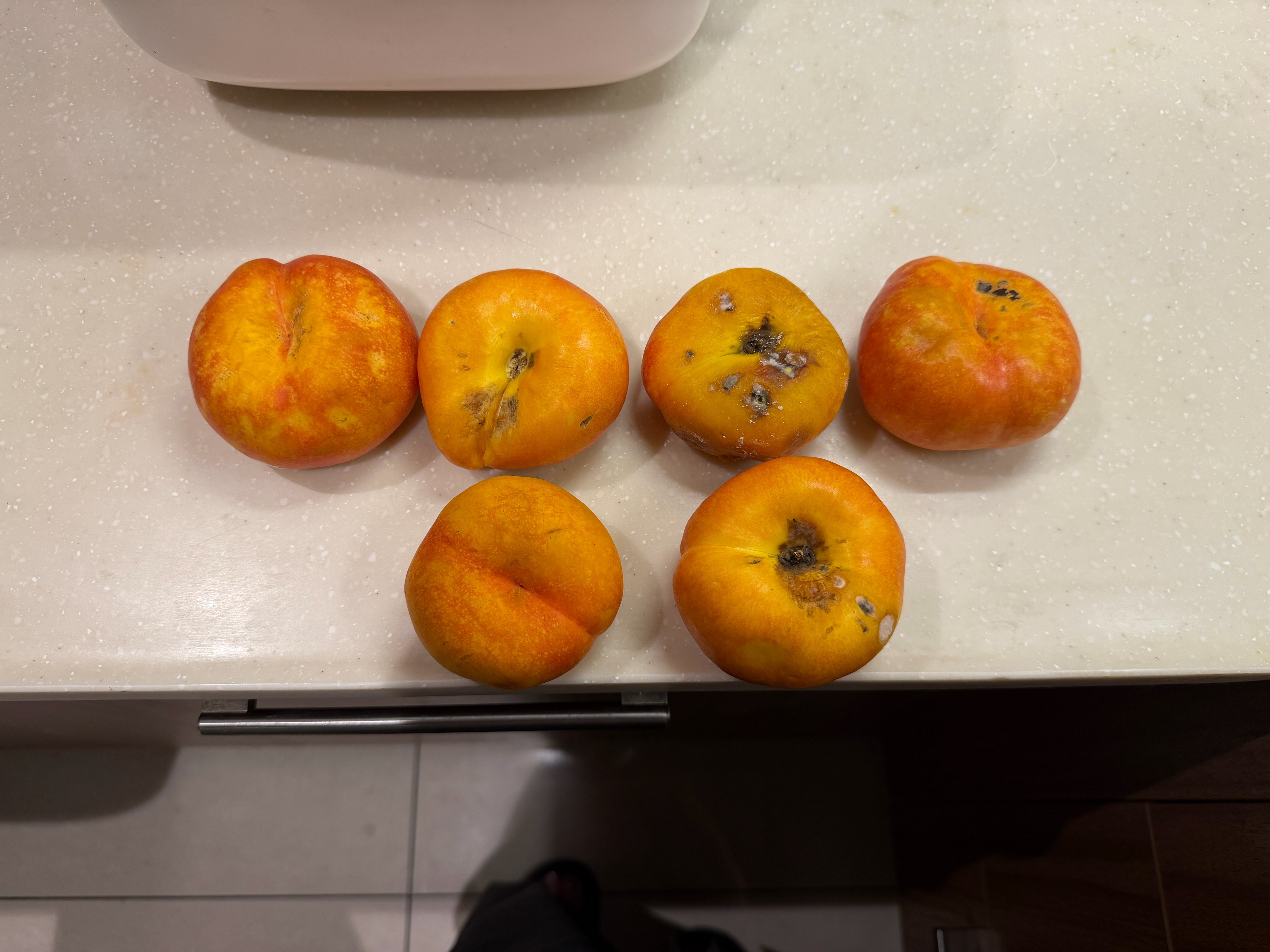 再在路边摊买东西我就是大傻子！！看路边大叔这么热的天还在摆摊就去买了两斤蟠桃回家