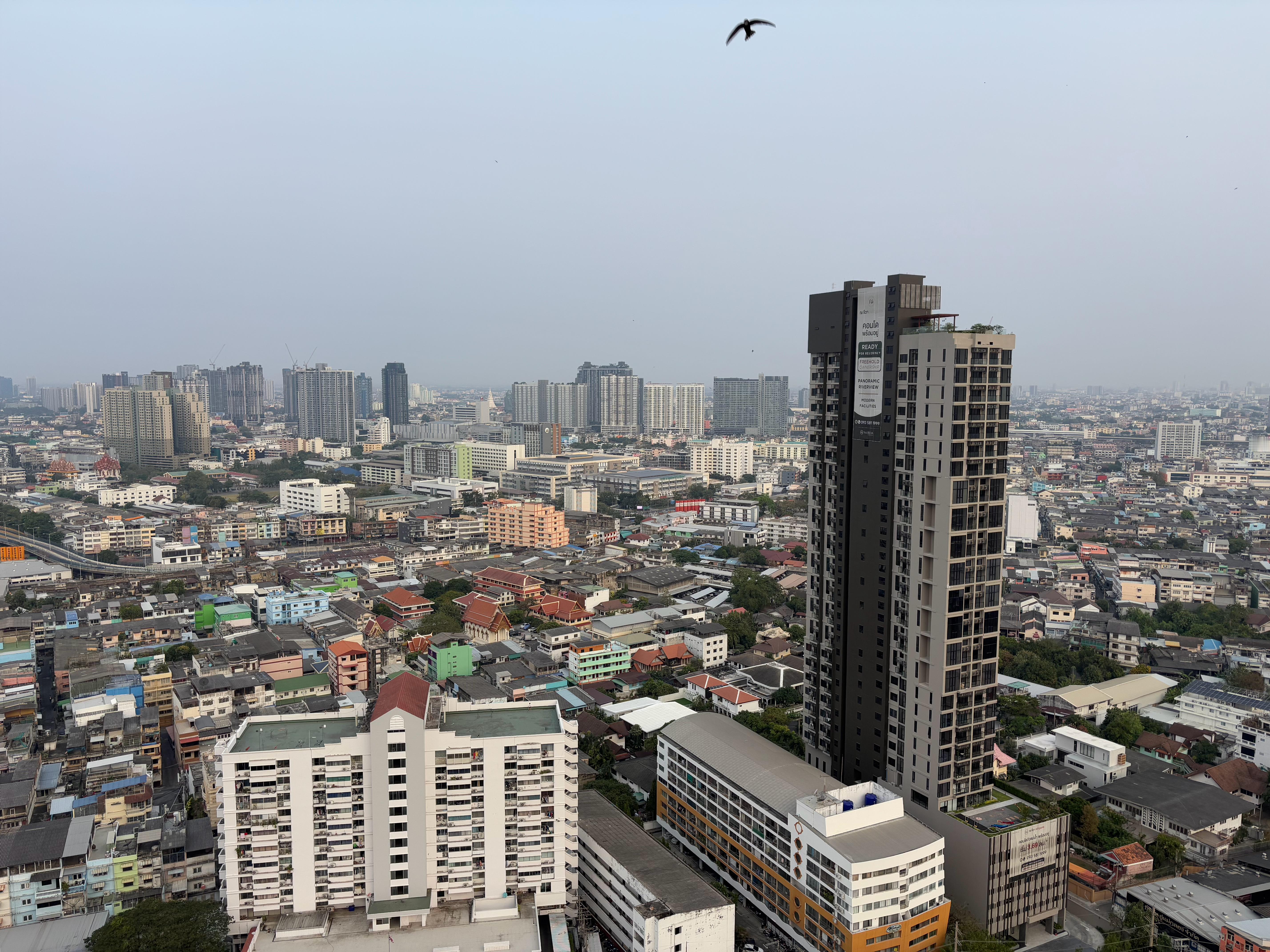 国内长三角、京津冀、珠三角、成渝、华中区域我已经连续去了溜达了七年了，每年至少好