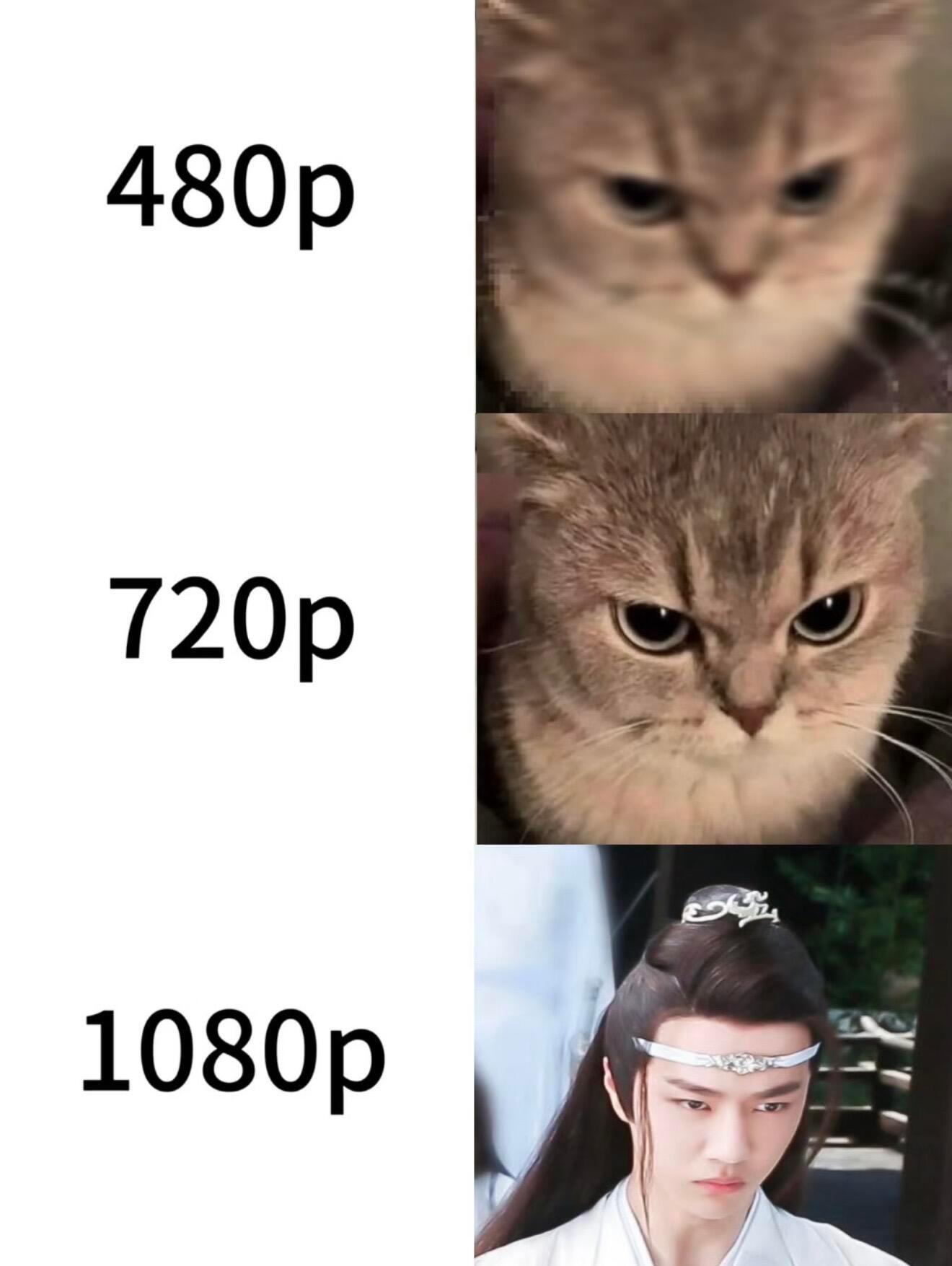 博咪拯救人类🥺 
