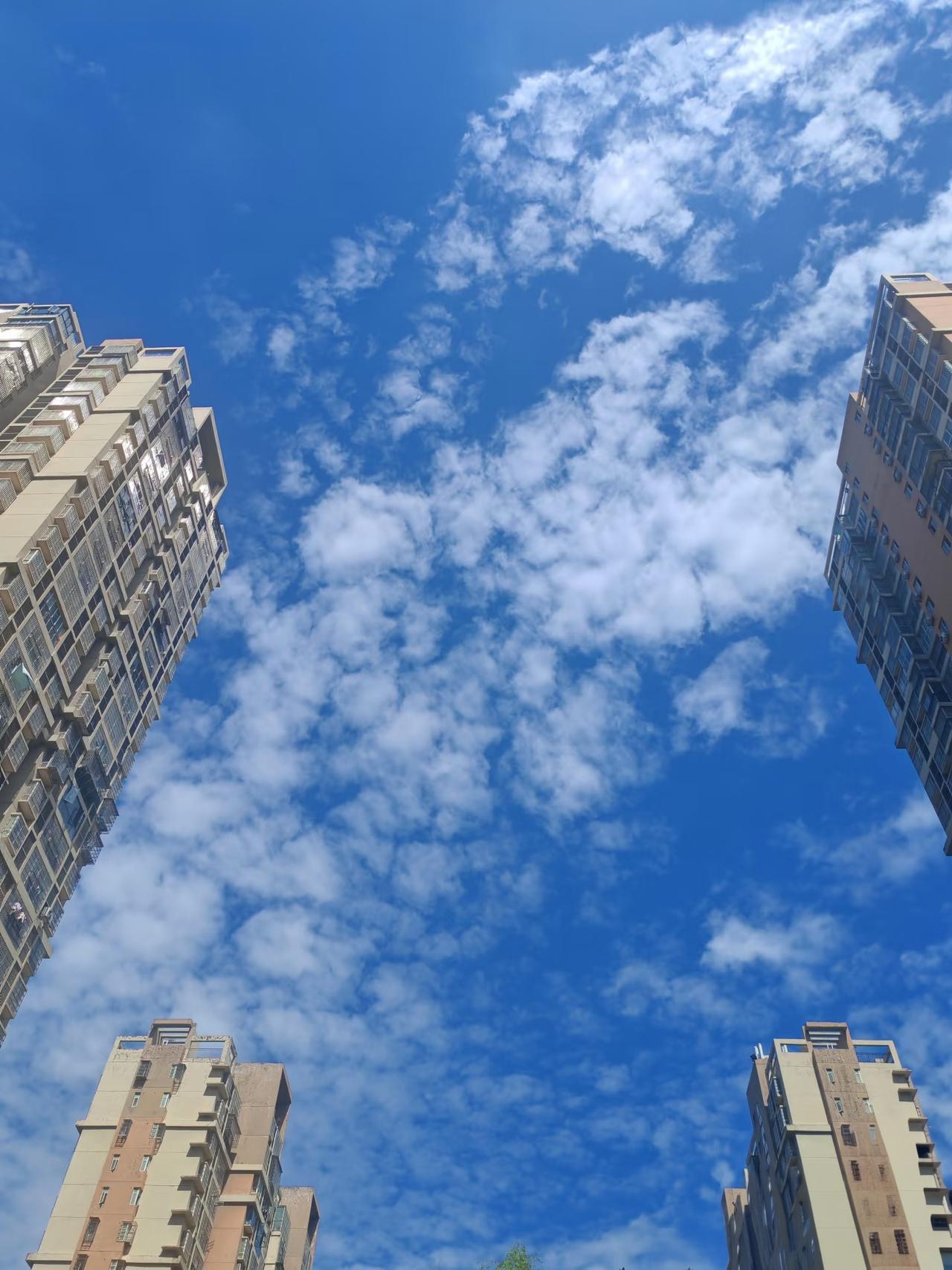 记录我的2026 2026 年 1 月 8 日这天中午，我在小区被天空治愈。太阳