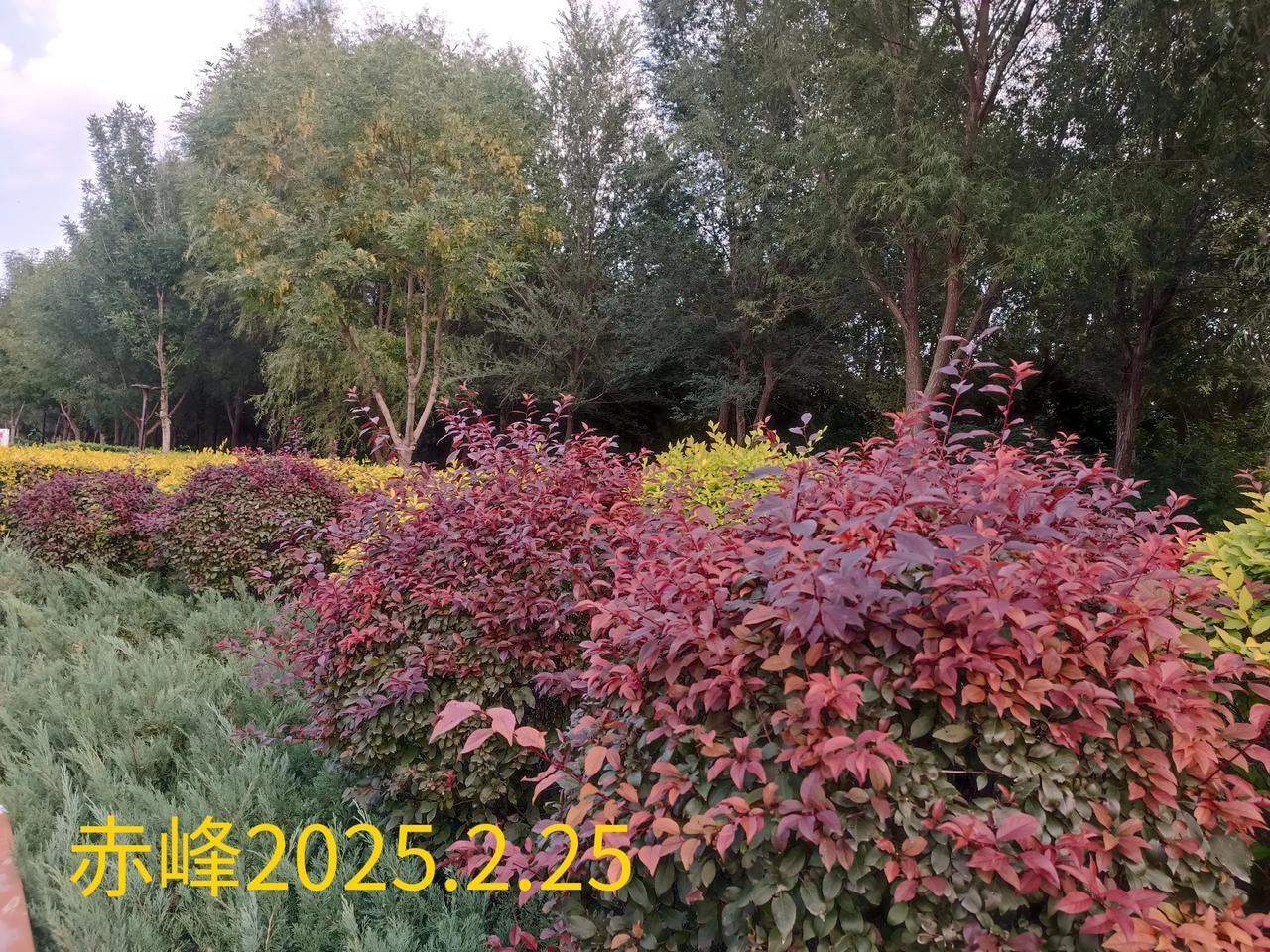 随手拍的风景照随手一拍，路边风景。