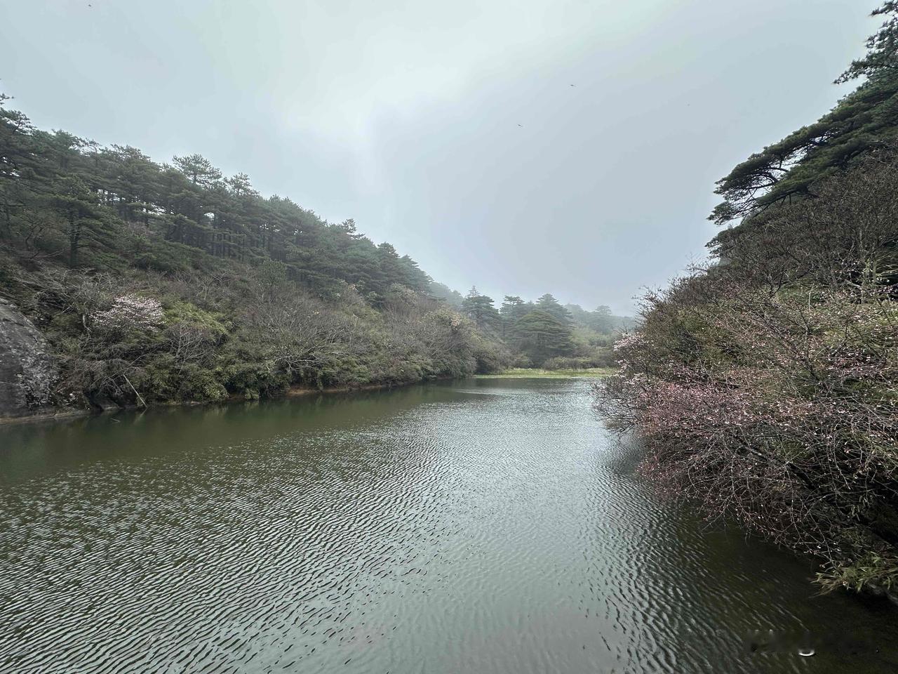 📍三清山·三清宫（下）

三清宫位于江西省三清山上，海拔1533米，是道教标志