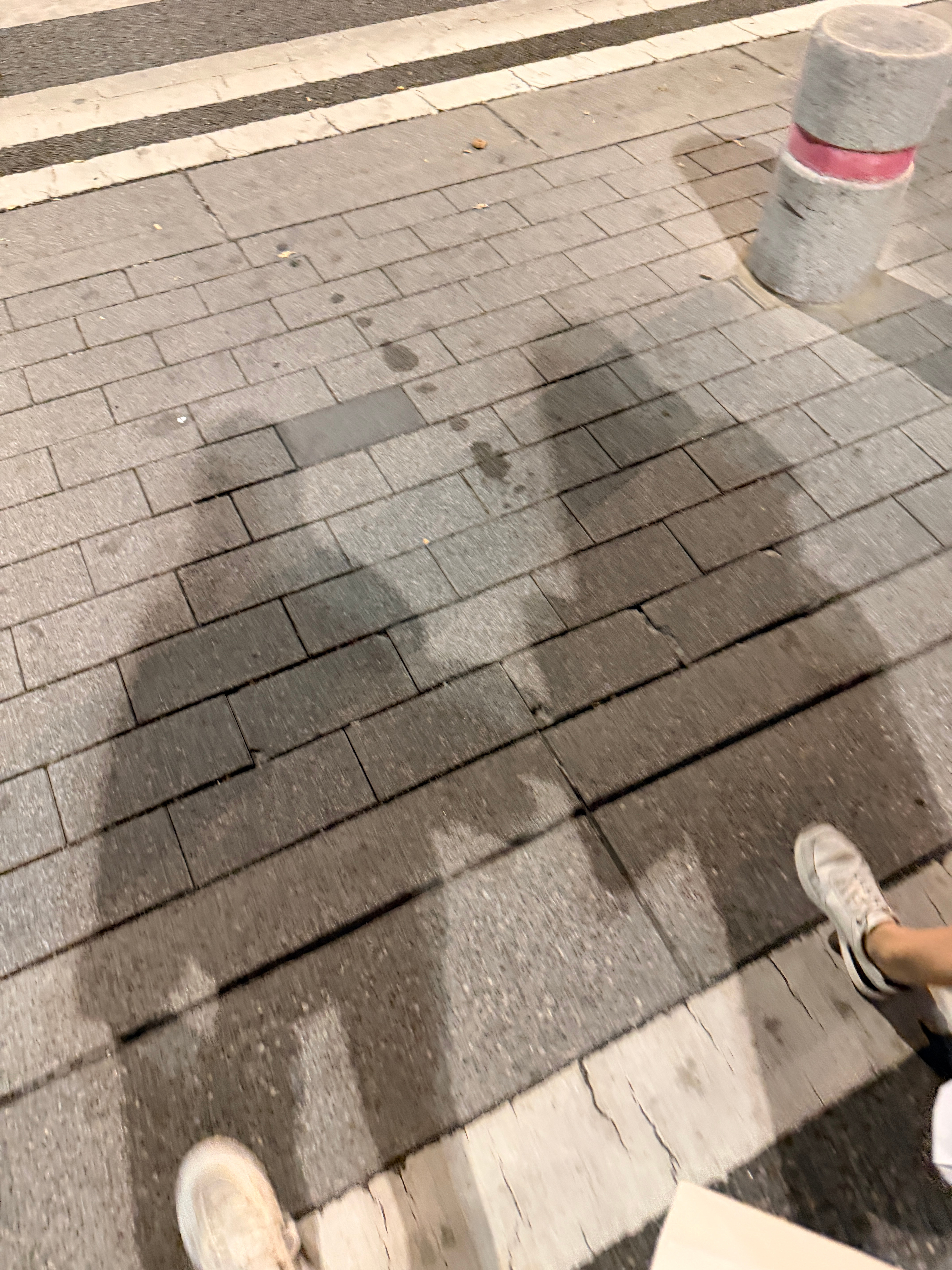 今儿上班不孤单有人陪我上早班