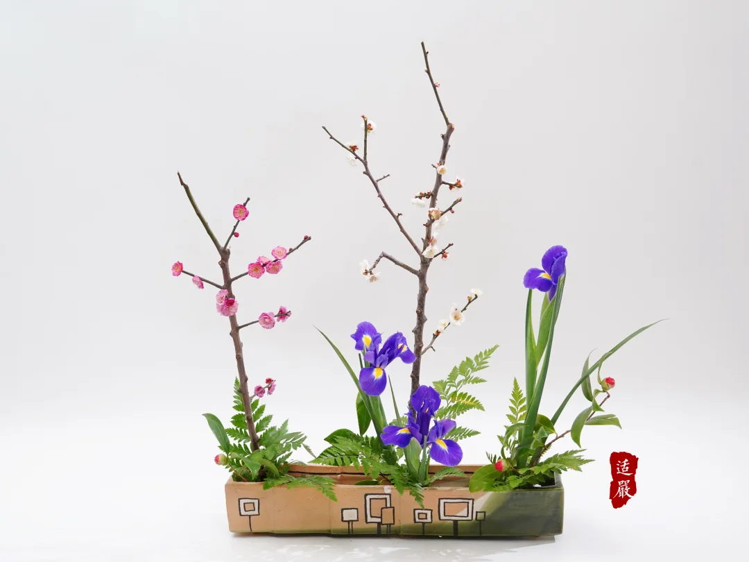 风传花信，万物迎新