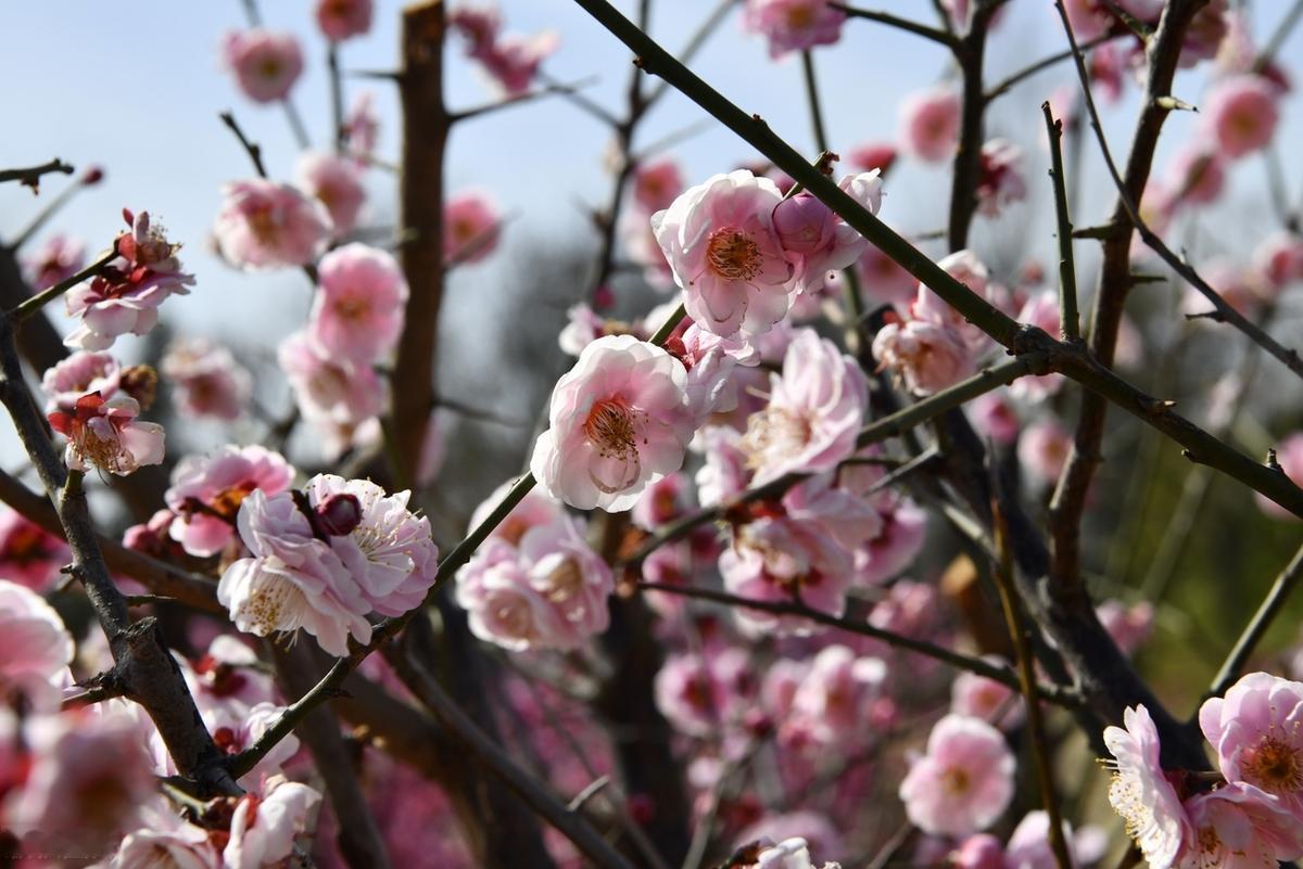 人生是一列单向行驶的火车，中途会有许多大大小小的站点停靠，但是永远不售返程车票。