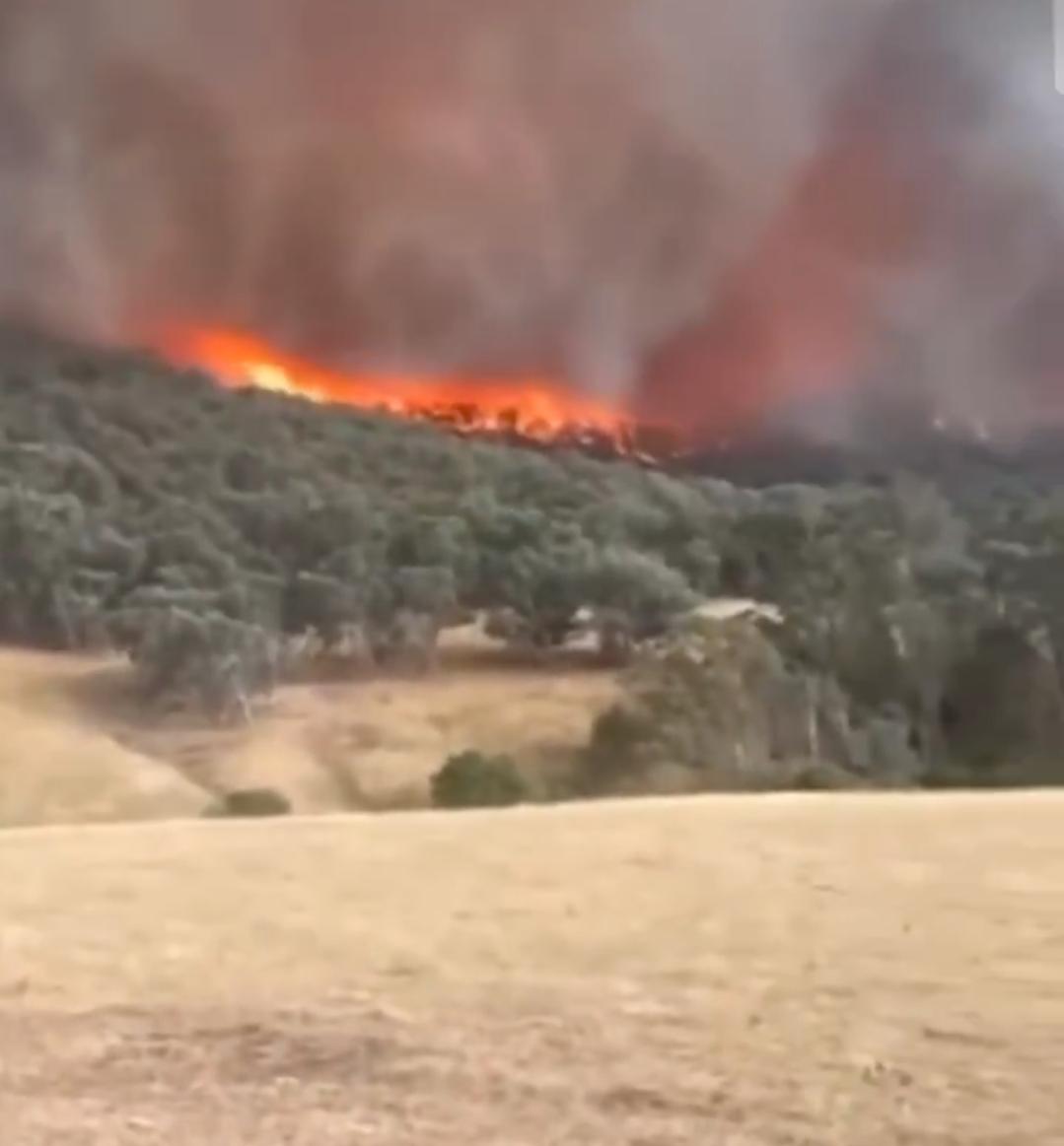 新闻快讯——维多利亚州进入灾难状态
维多利亚州州长宣布，该州18个受火灾影响地区