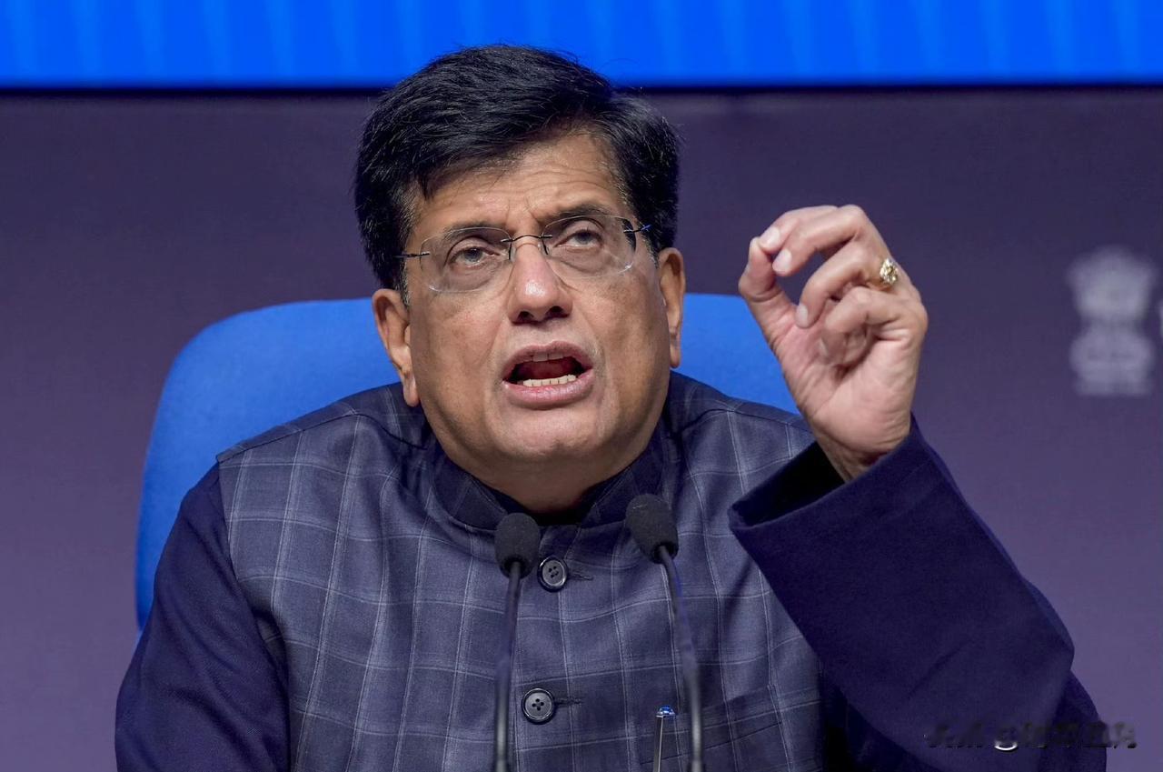 印度商业部长皮尤什·戈亚尔明确表示，印度不会屈服于美国在贸易领域的施压。他在柏林