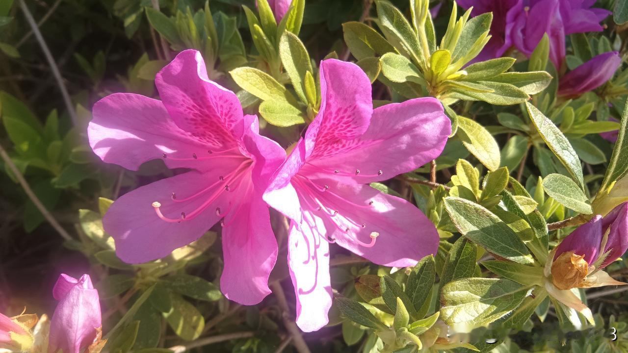 真想不通，医院急诊科连小孩流鼻血都没办法弄，是不想弄，还是？

上午陪家人去医院